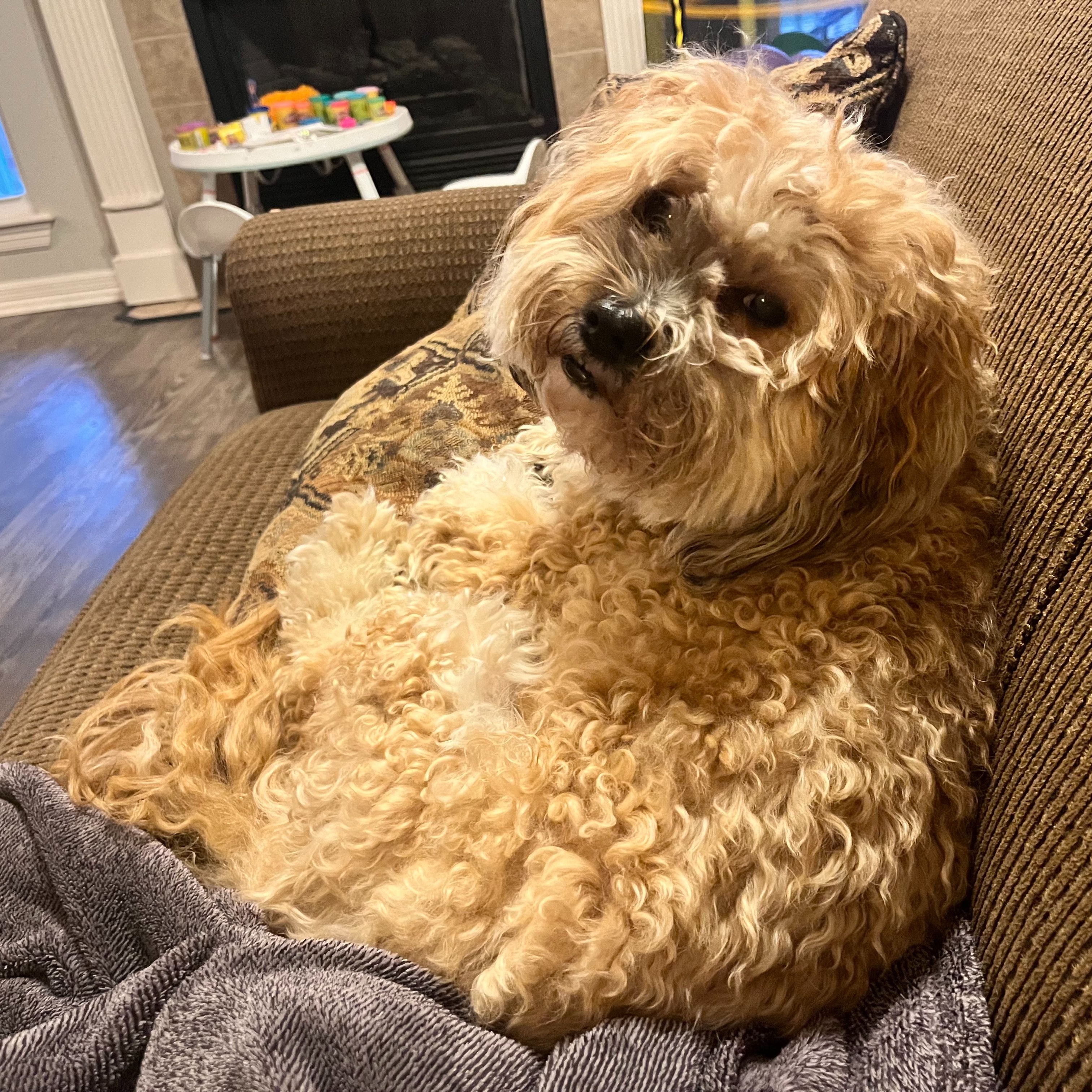 Josie