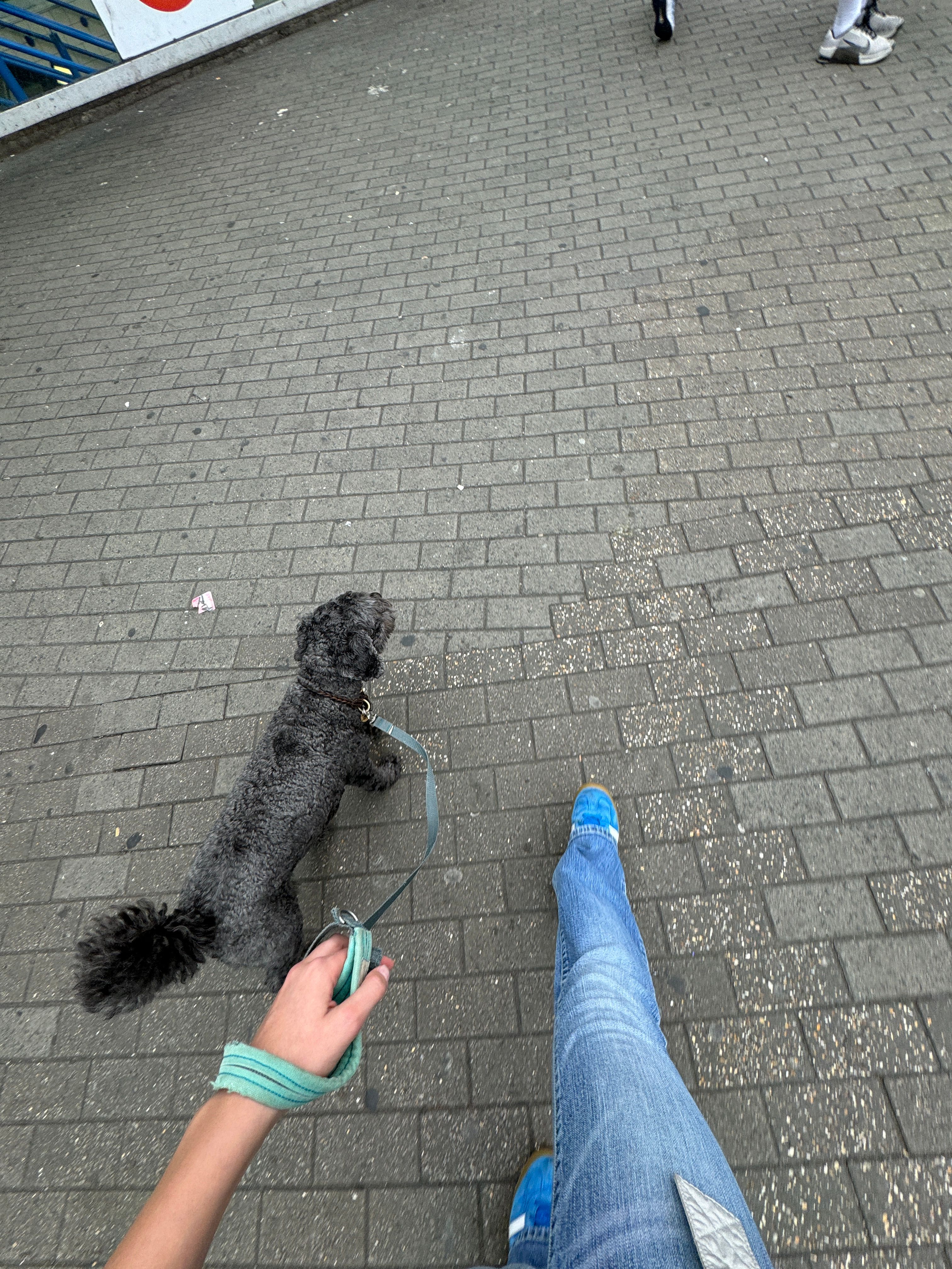 image-8