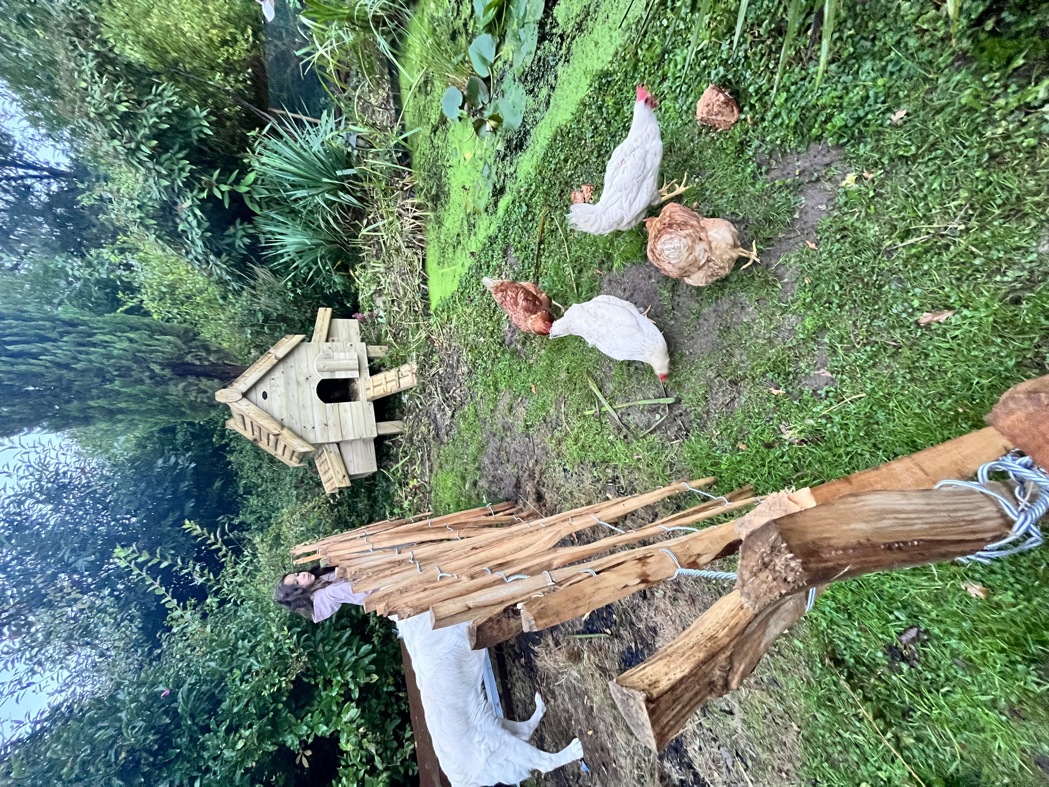 image-14