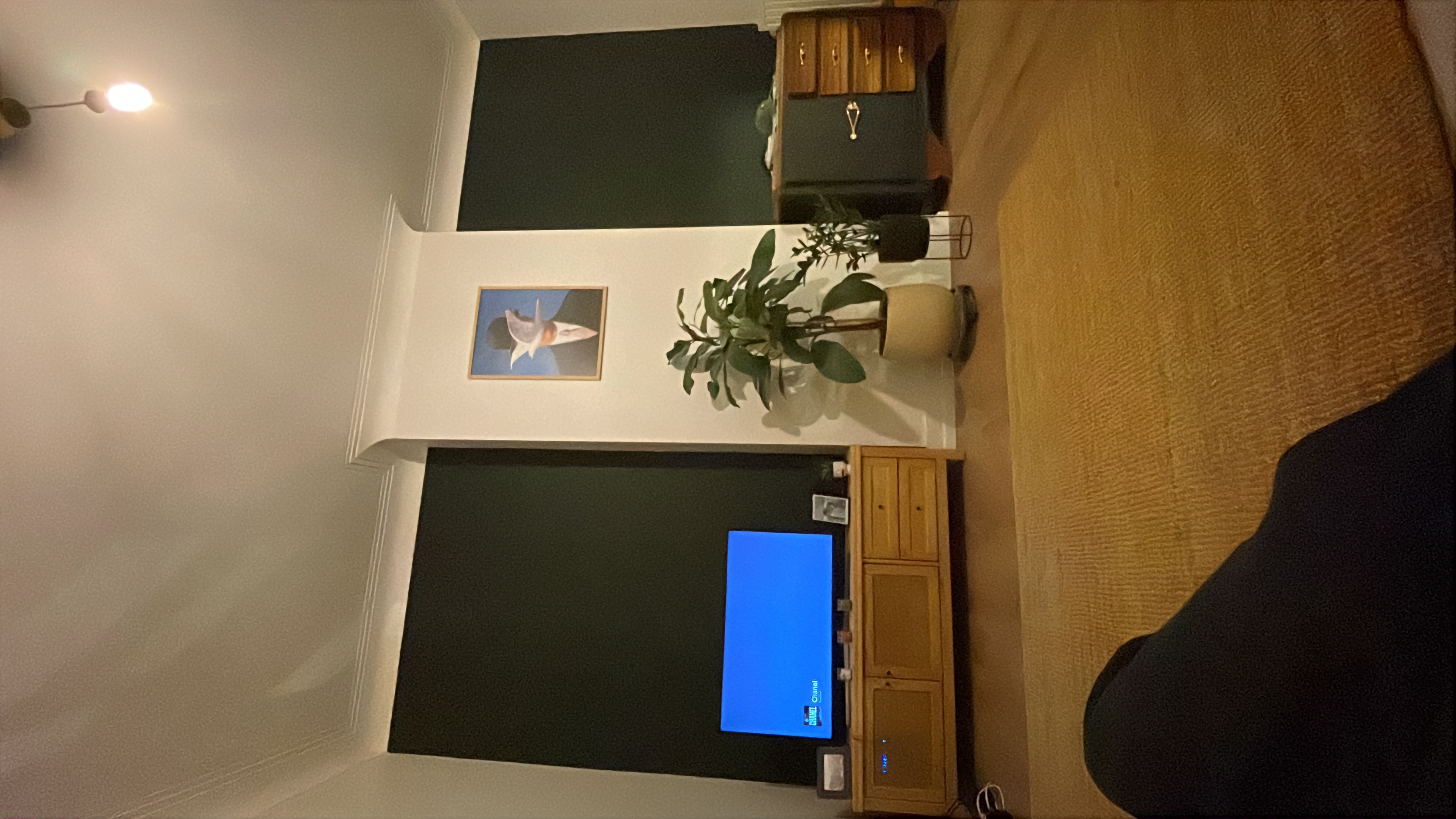 image-11
