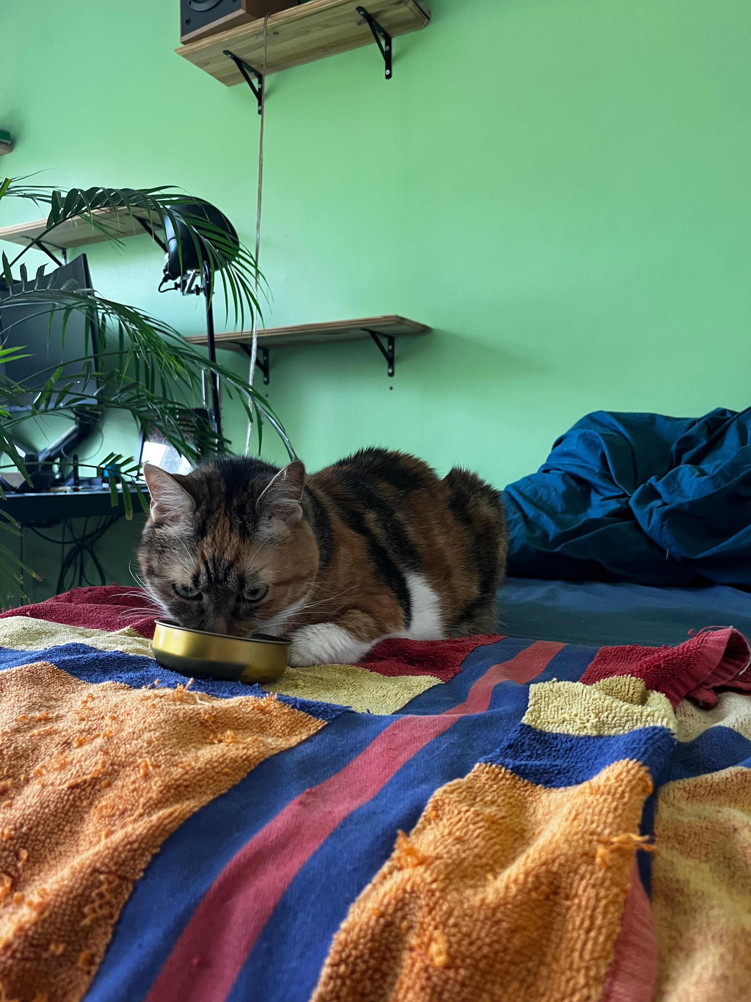 image-6