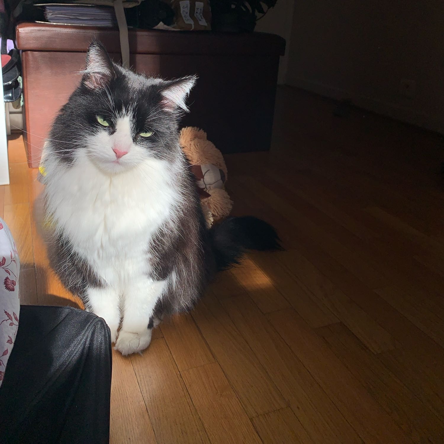 Egée