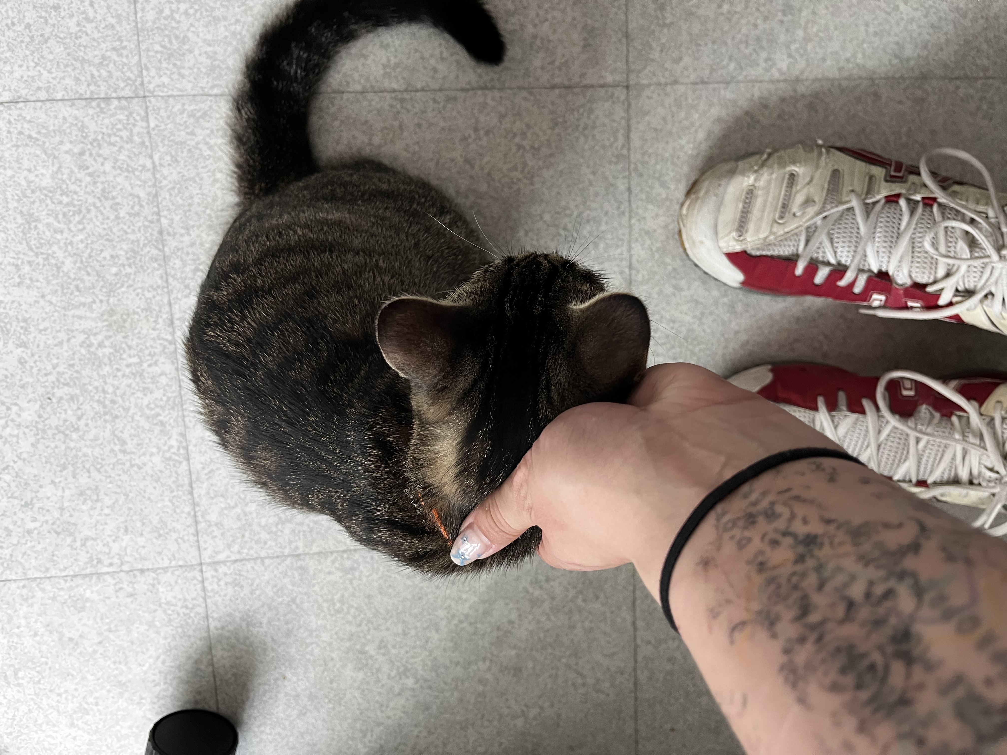 image-12