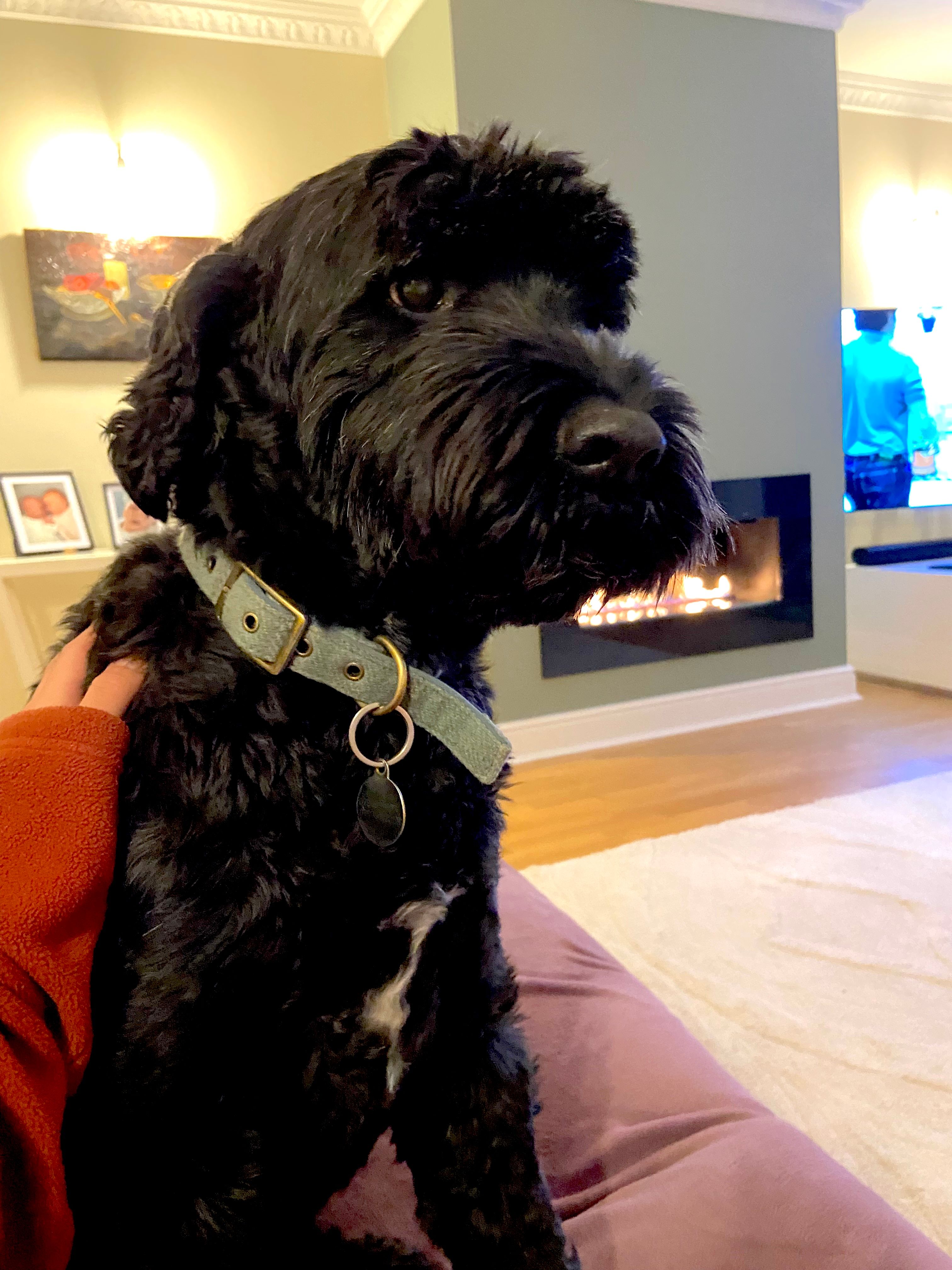 image-18