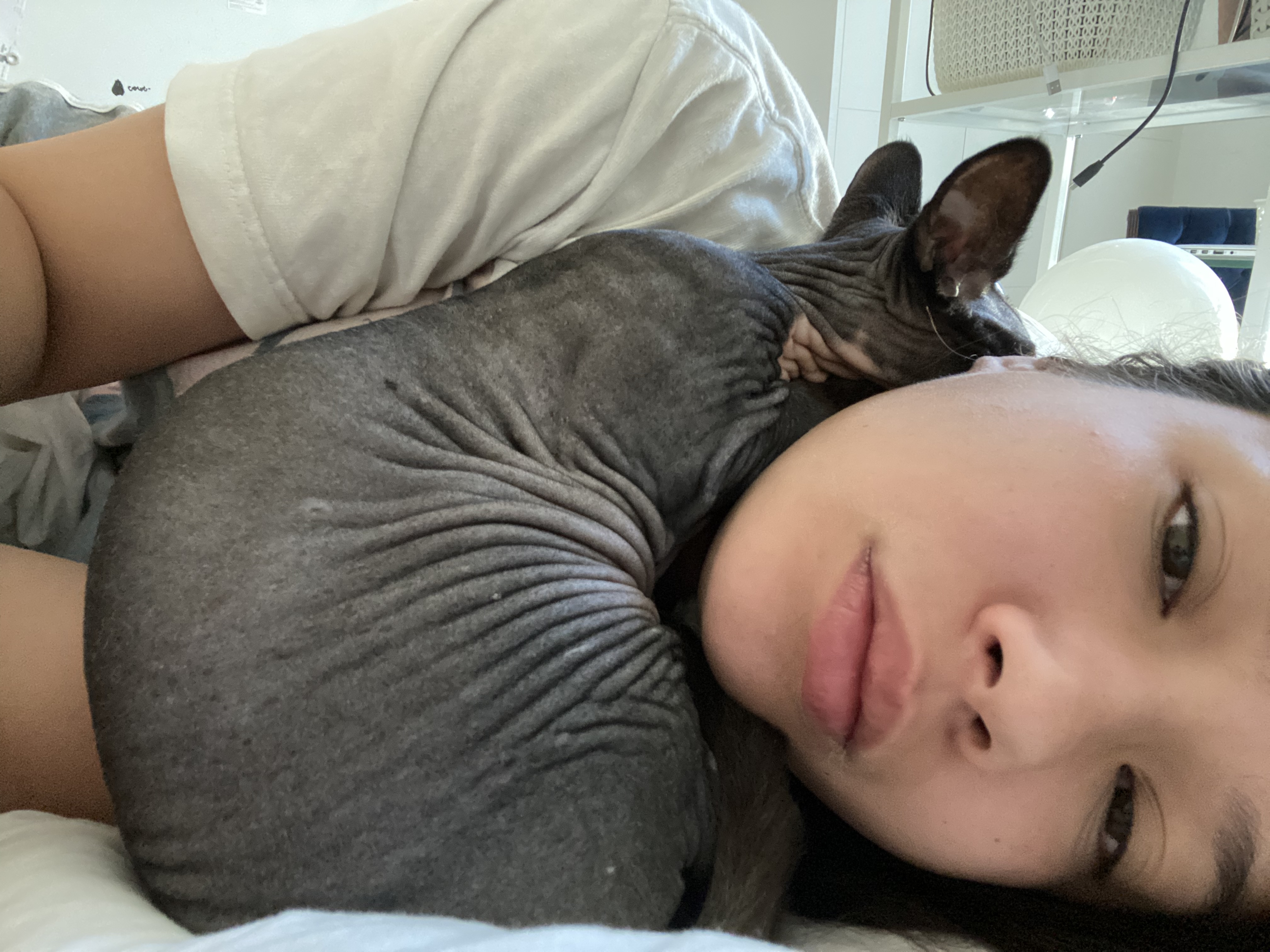 image-8