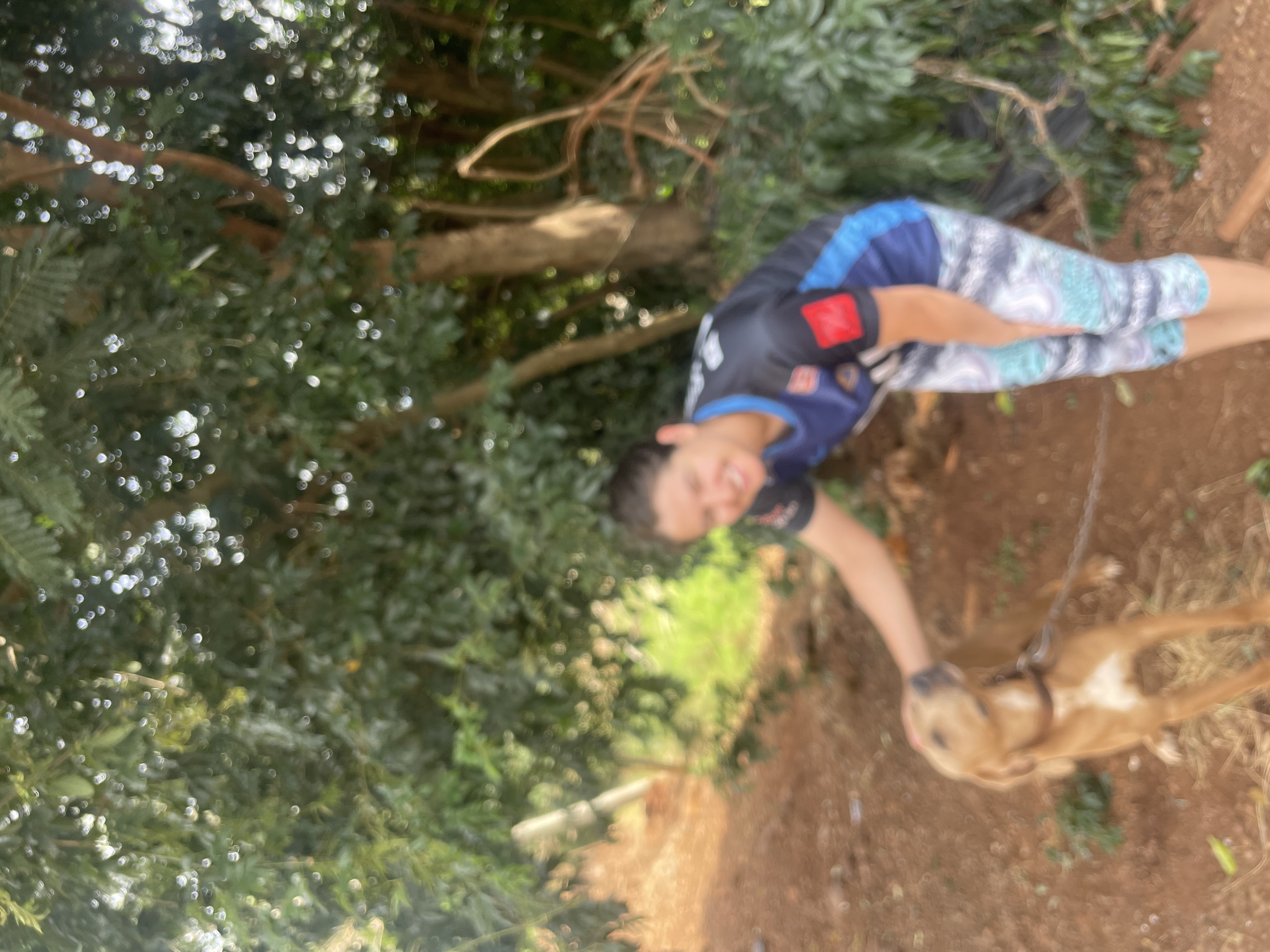 image-3