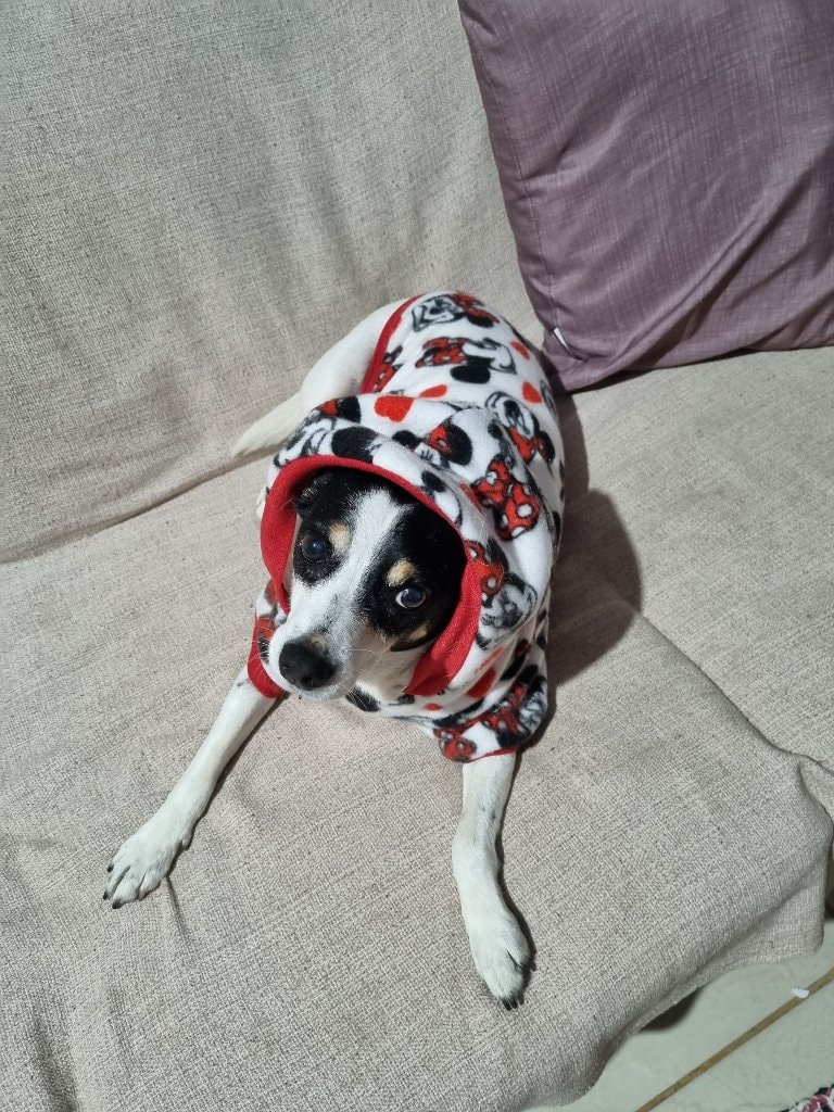 Lilica 