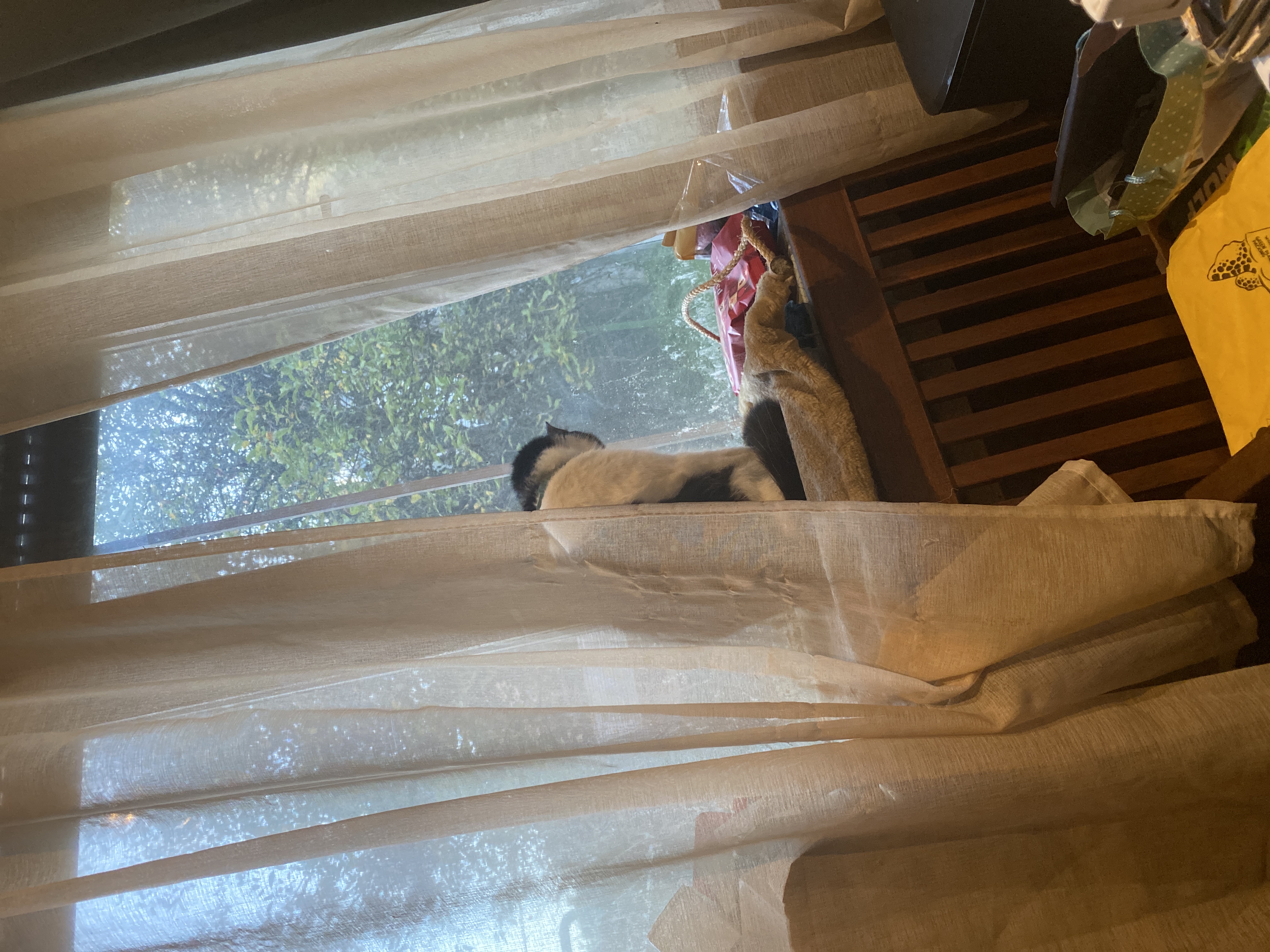 image-5