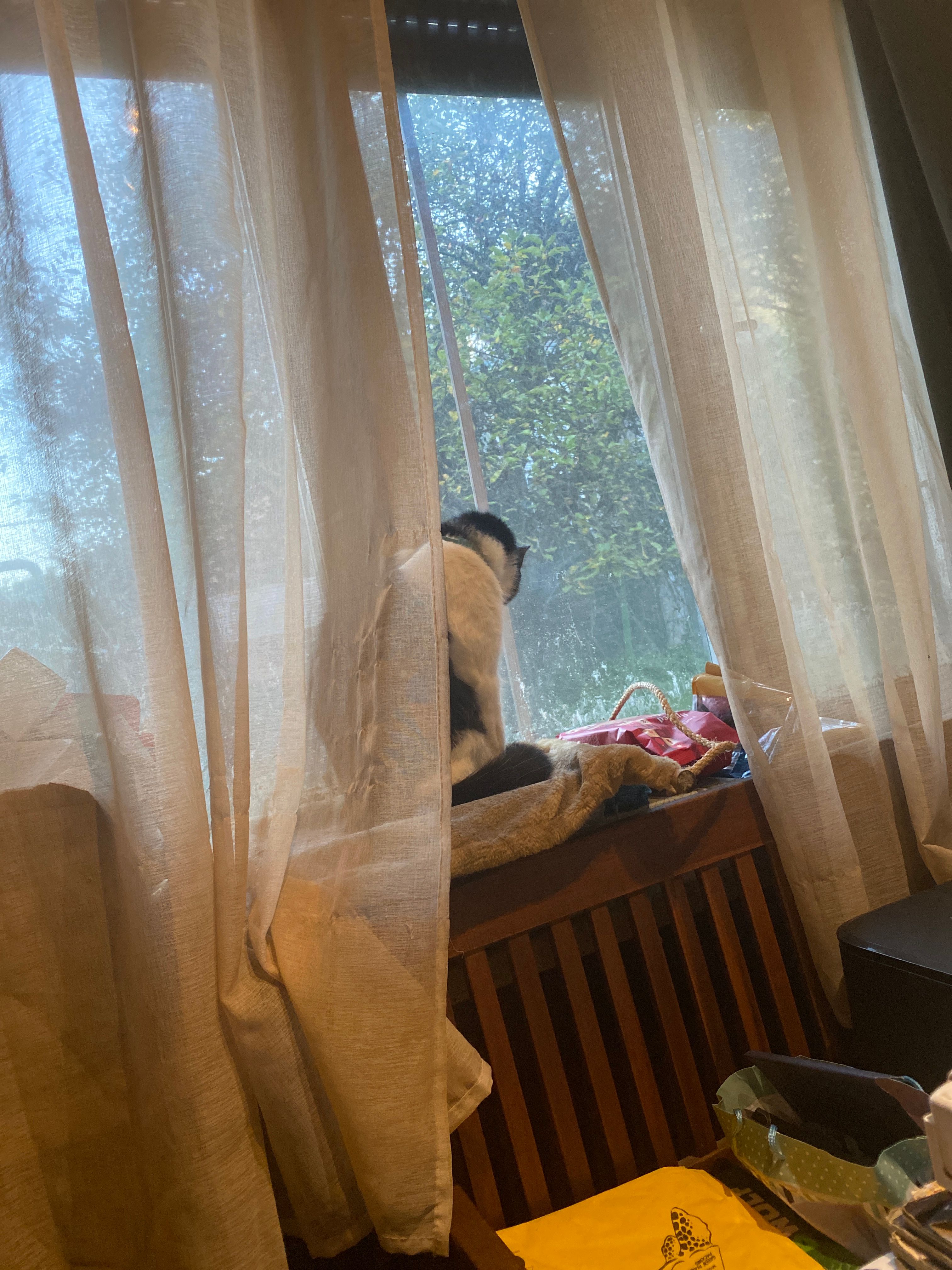 image-5