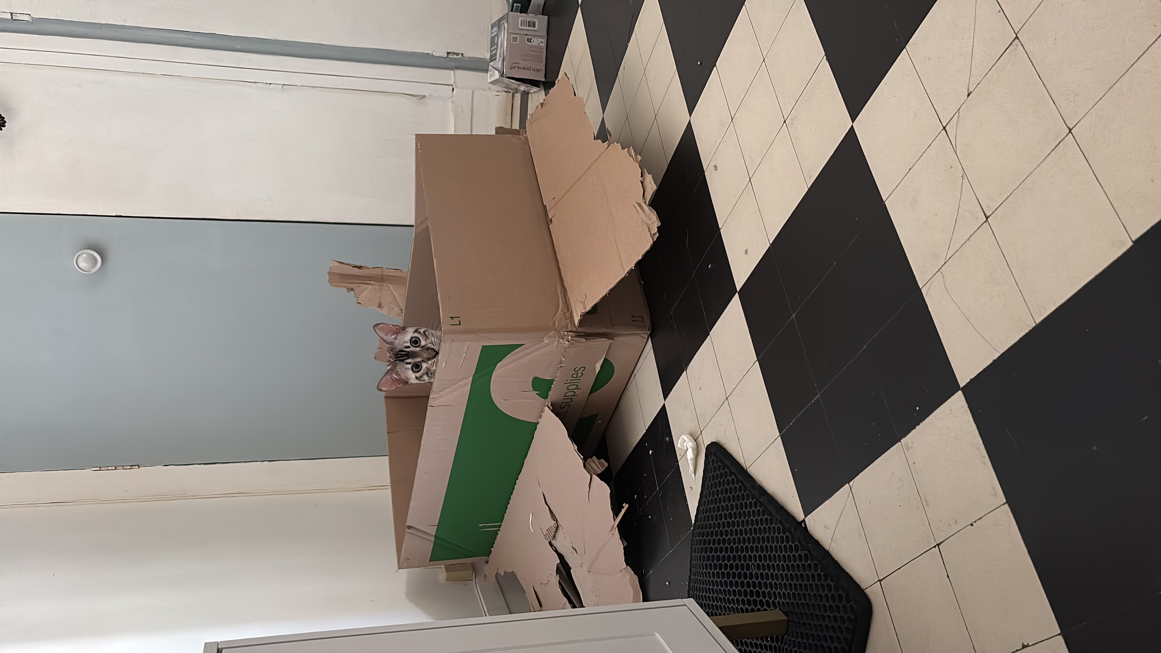 image-6