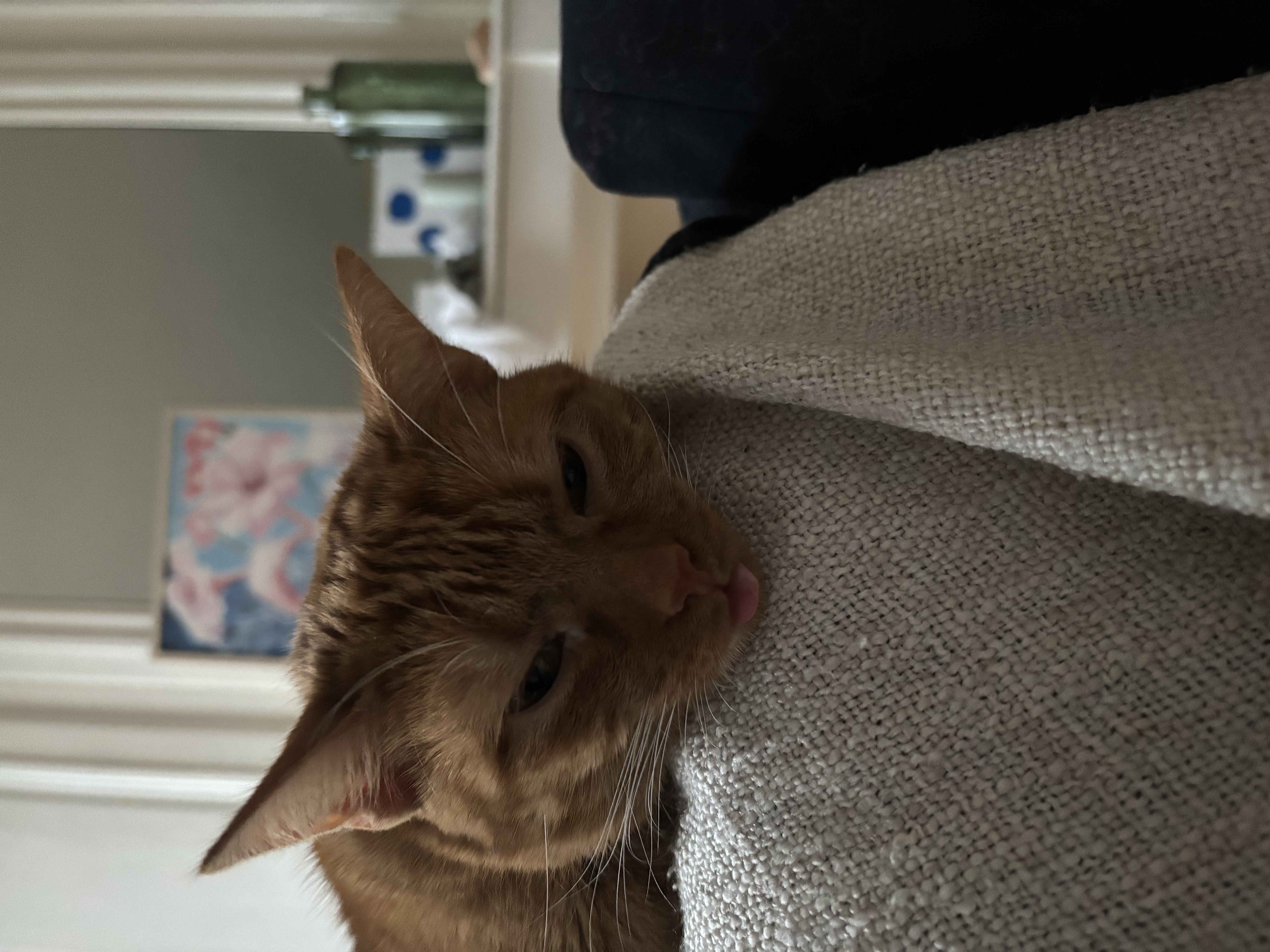 image-8