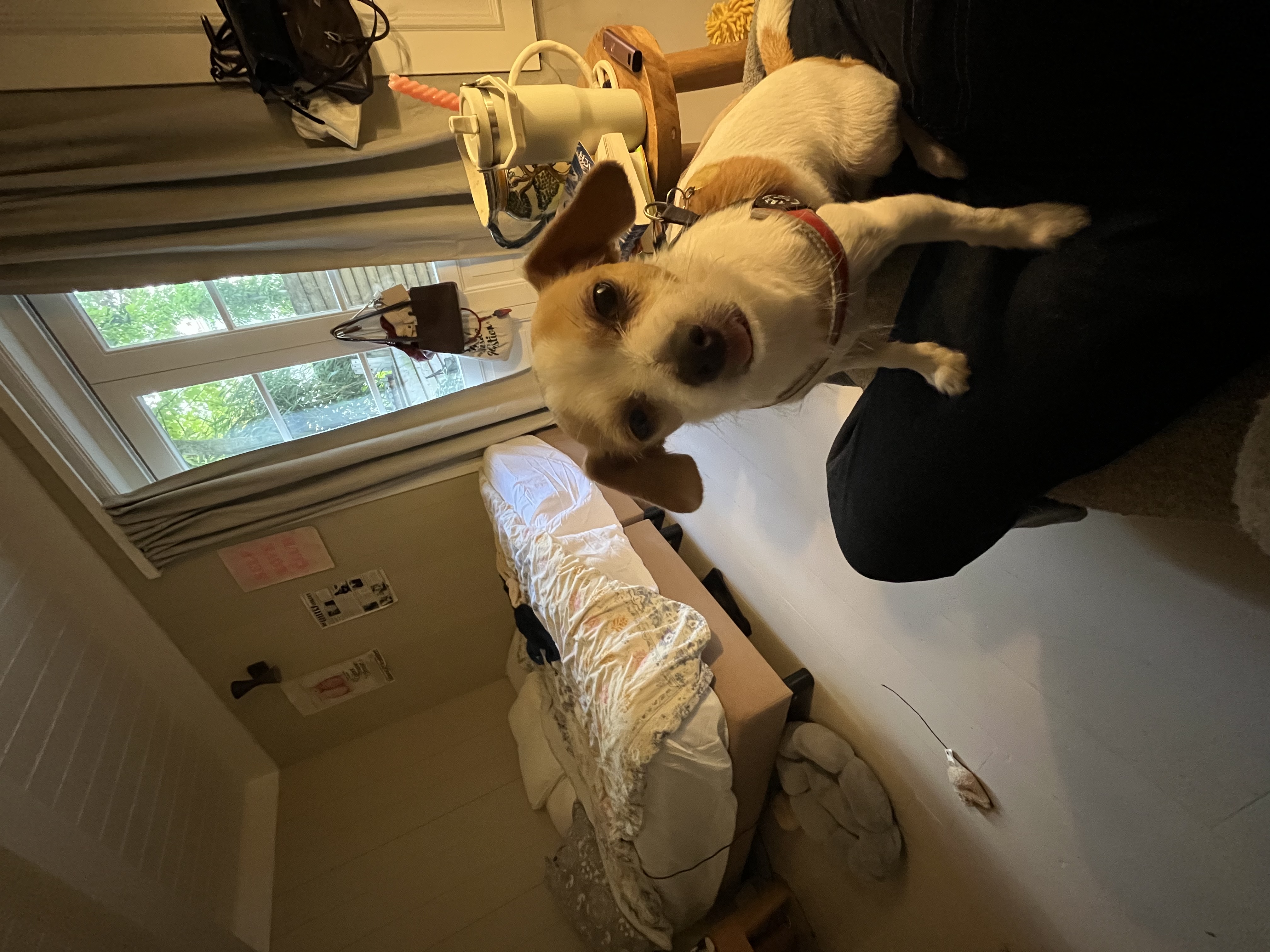 image-9