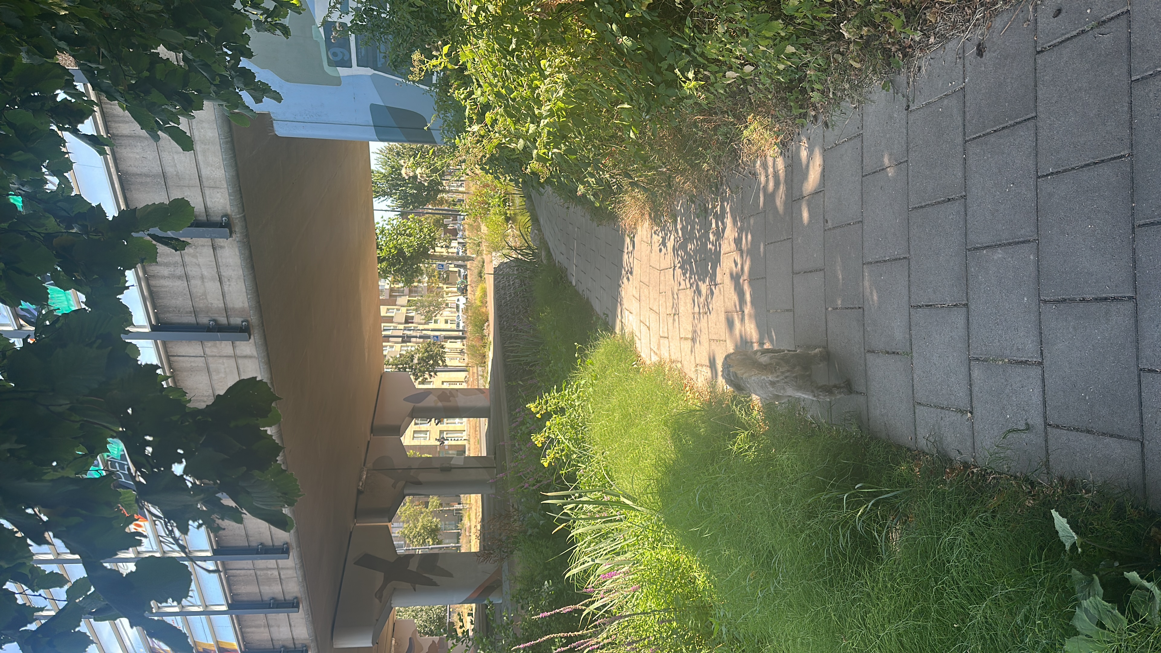 image-16