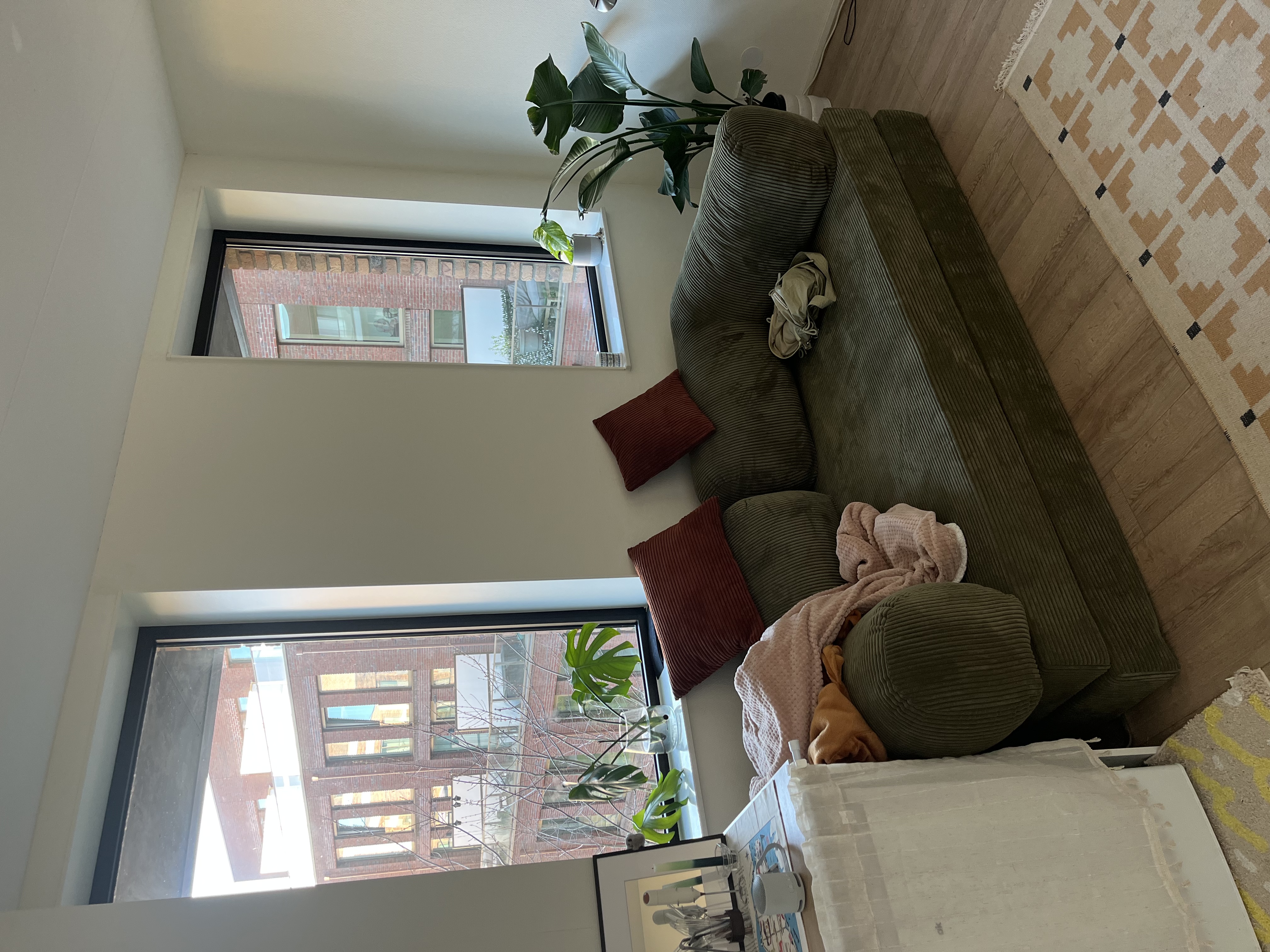 image-15