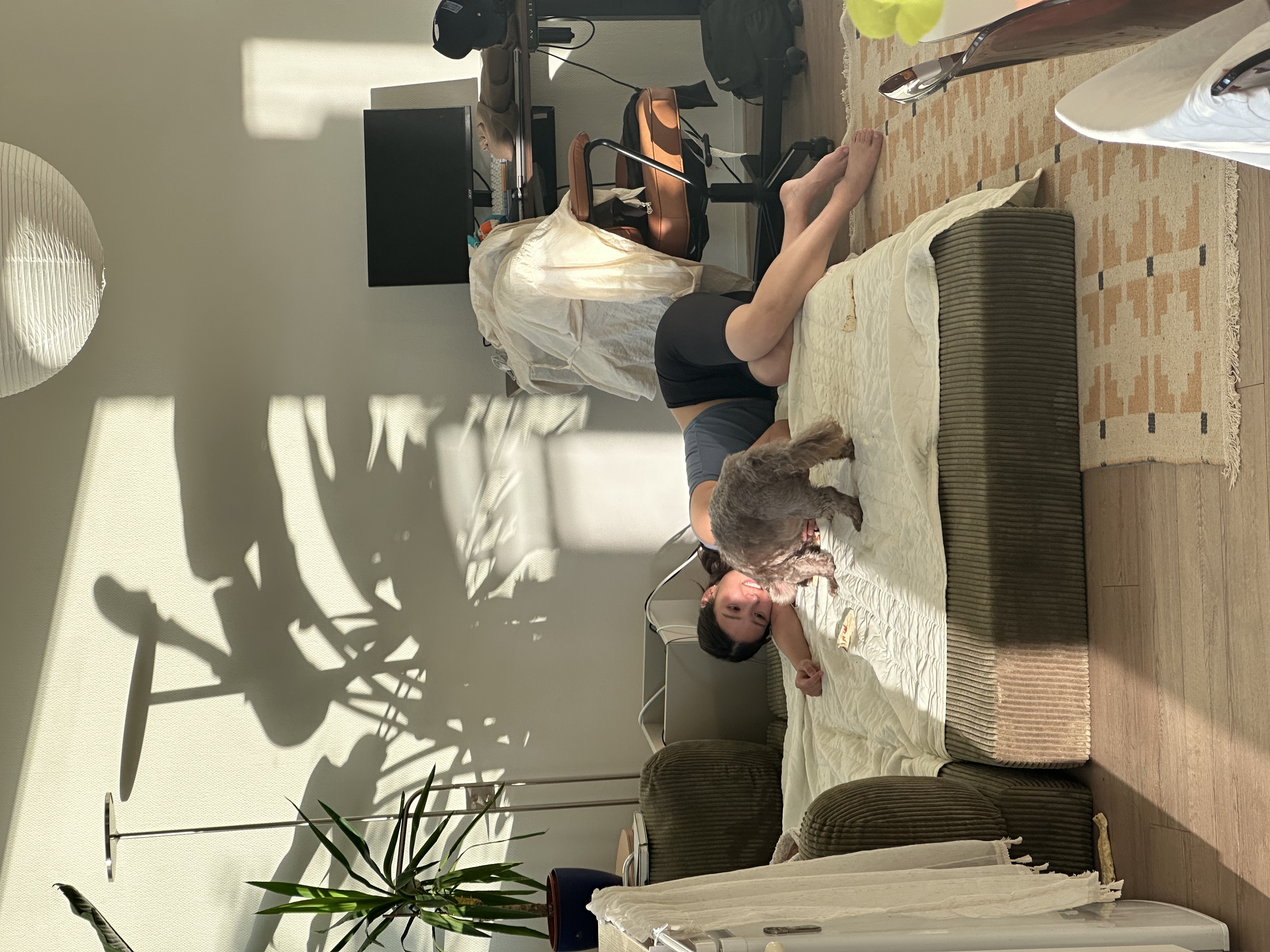 image-7