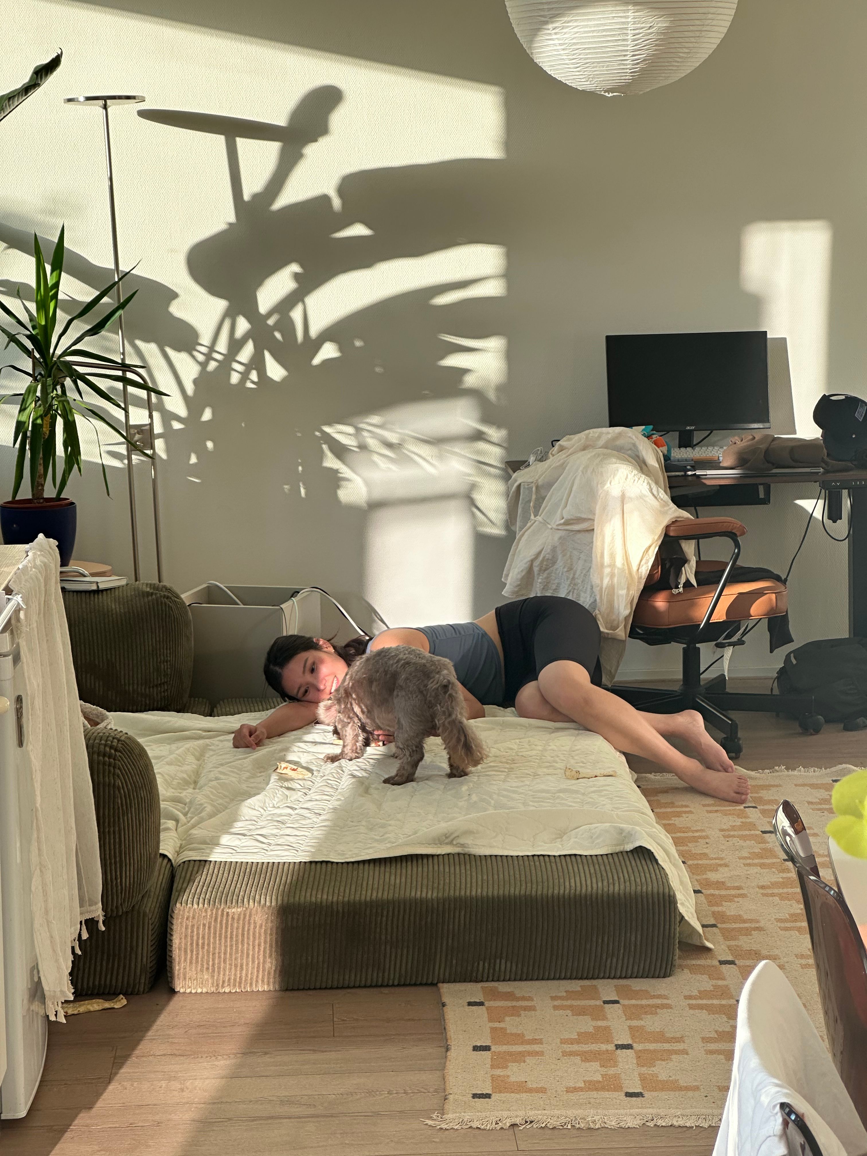 image-7