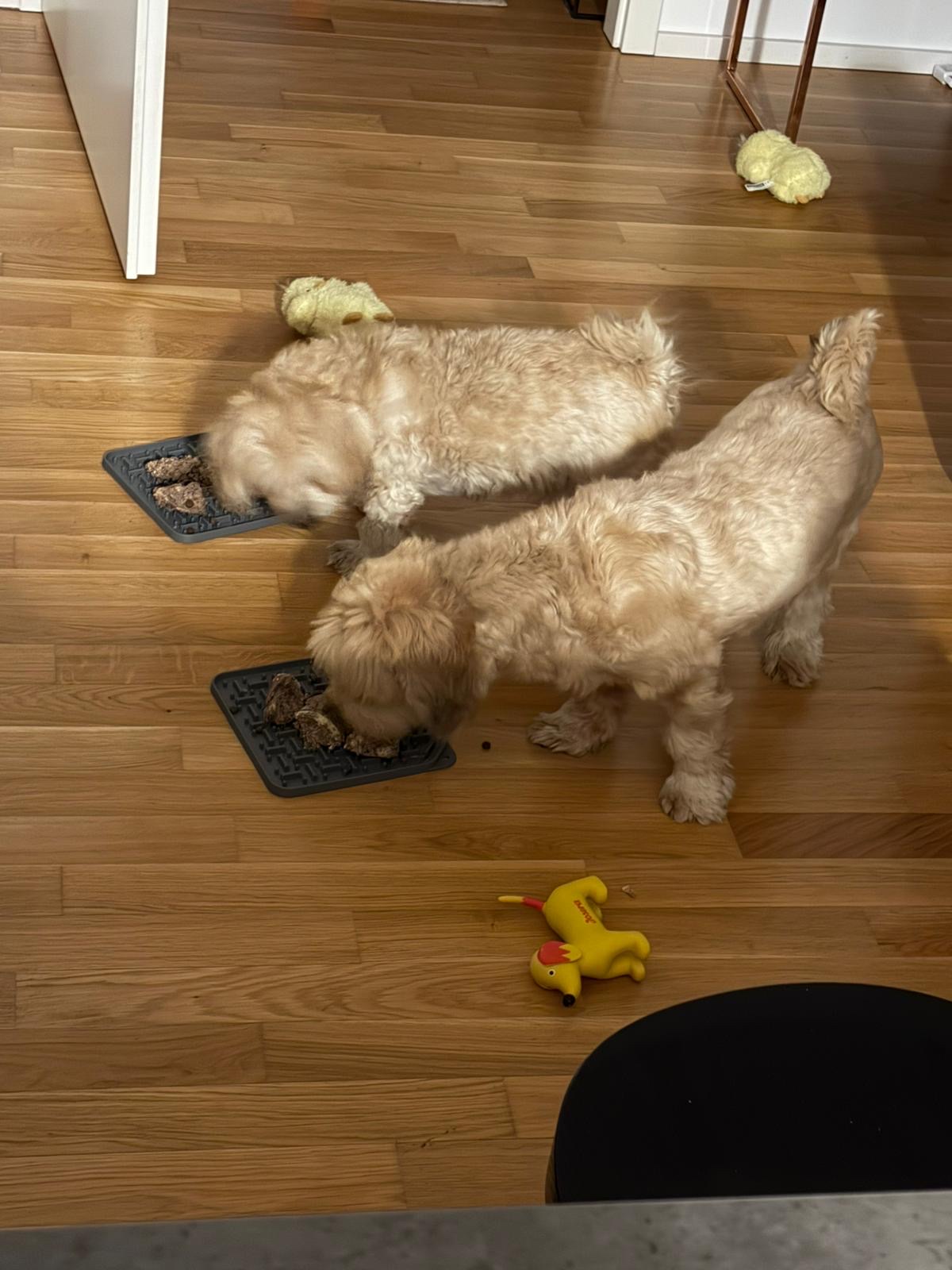 image-25