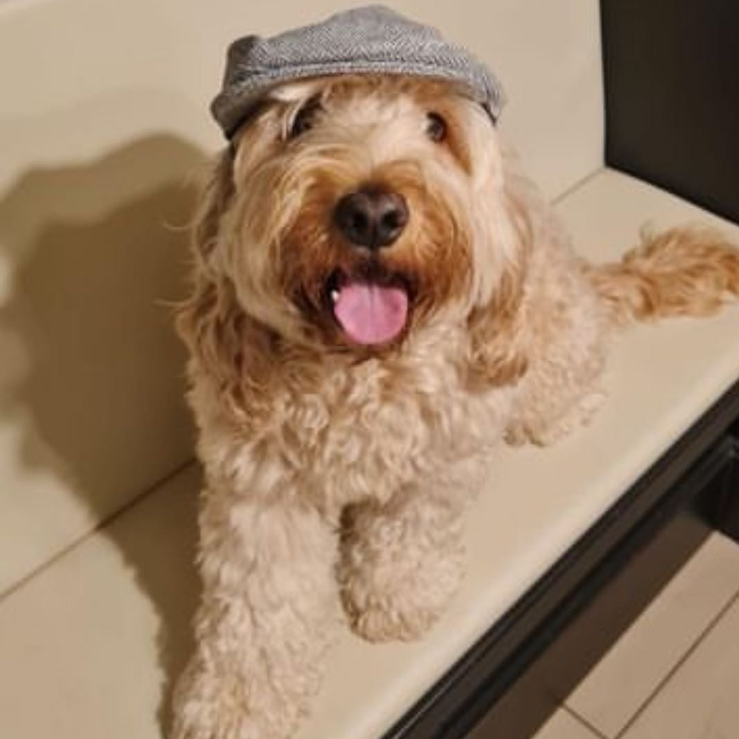 Teddy Trout