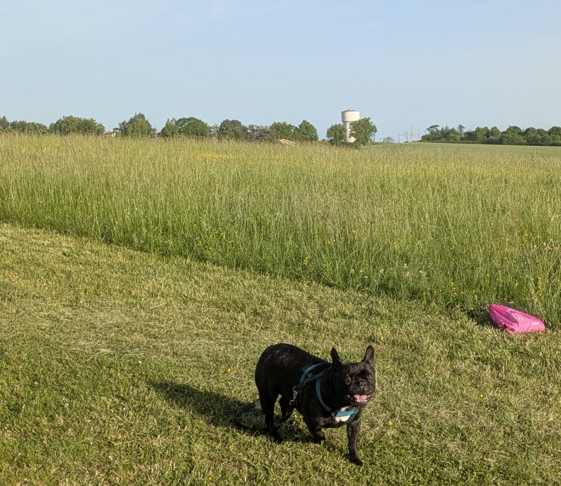image-16