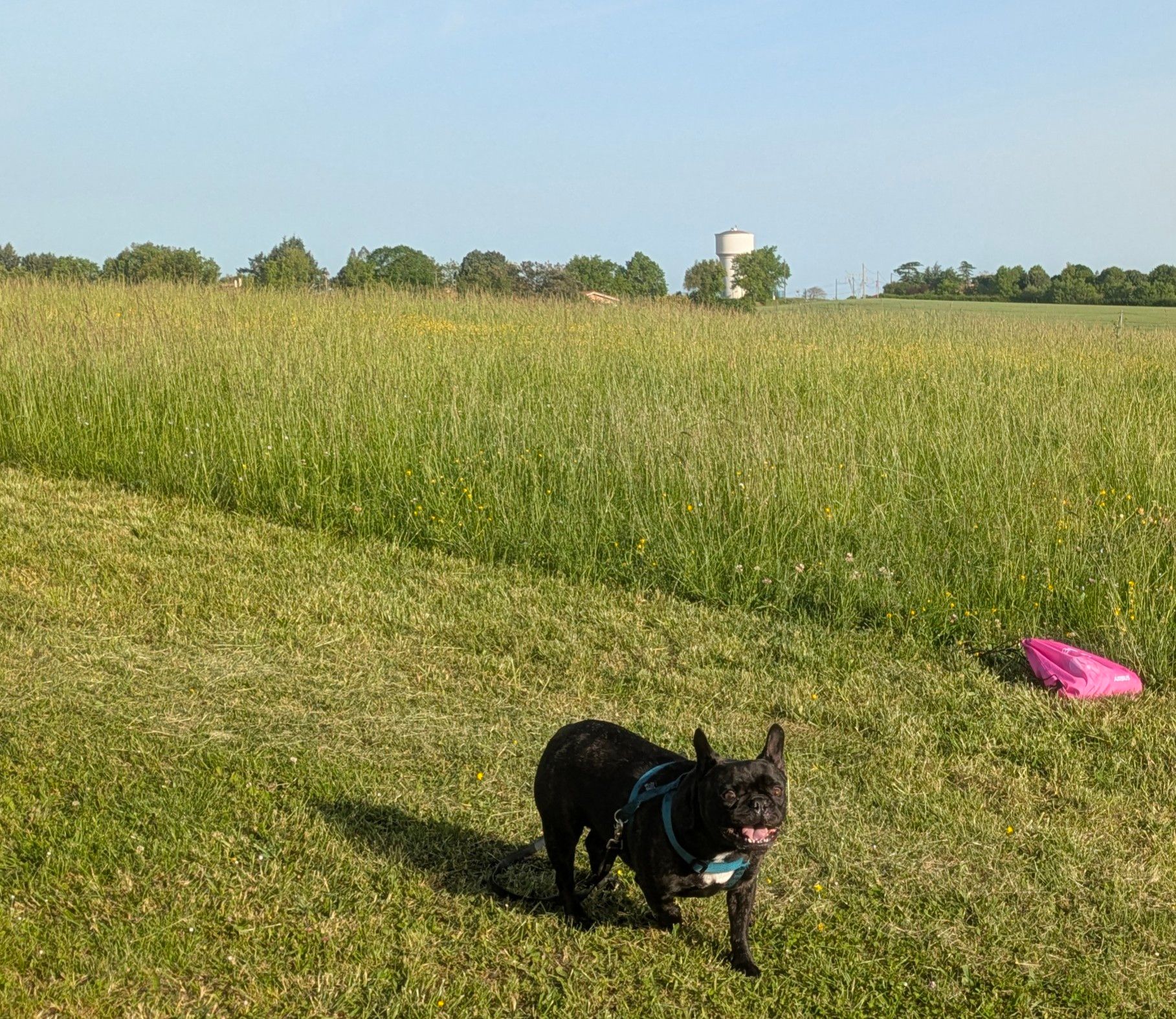 image-16