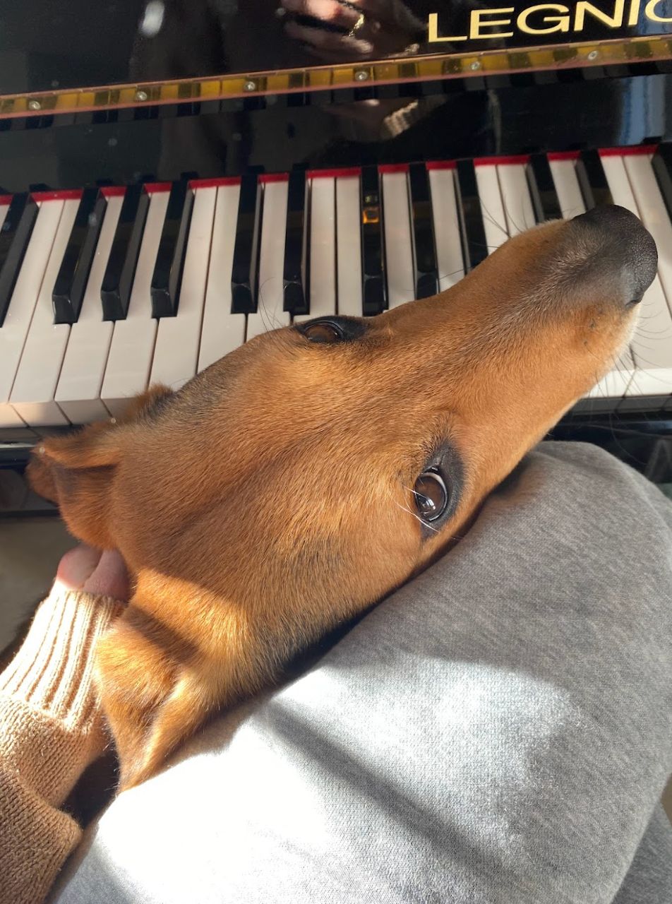 image-10