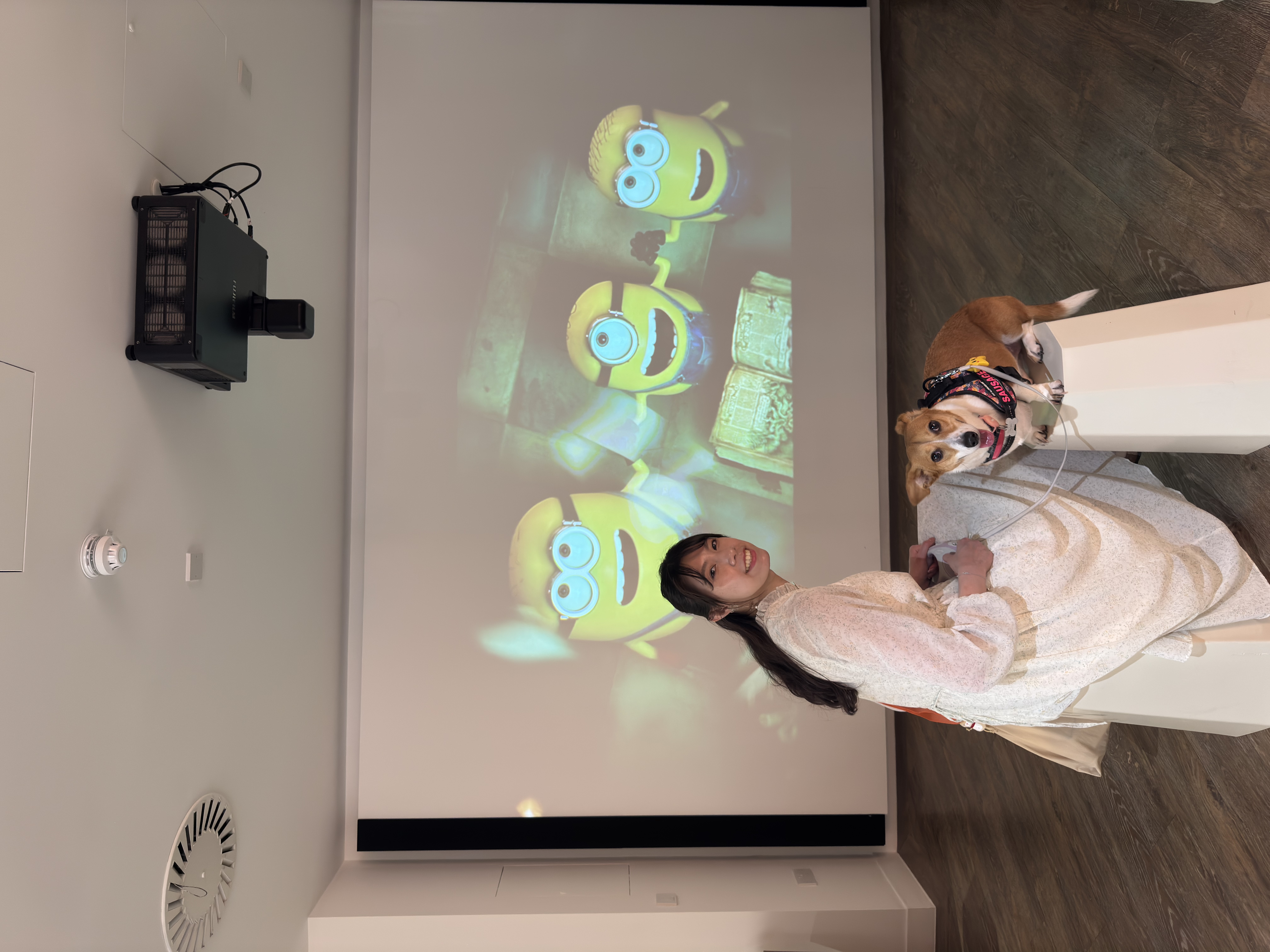 image-4