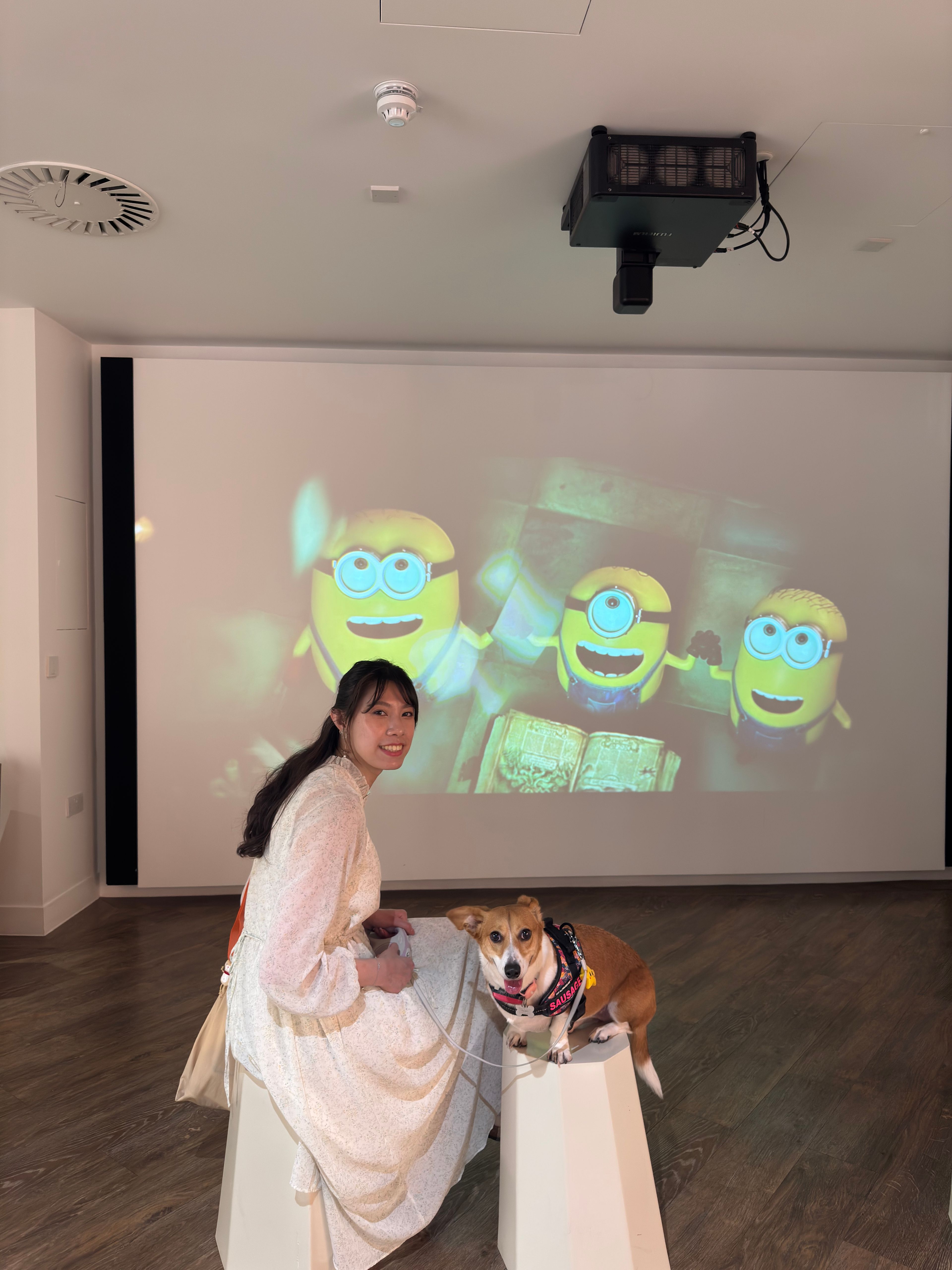 image-4