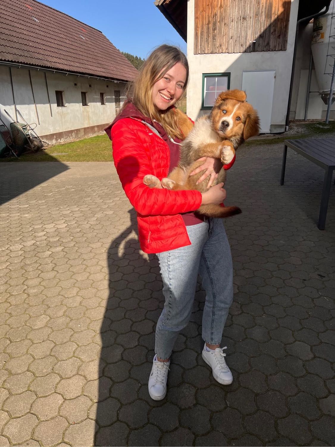 image-6