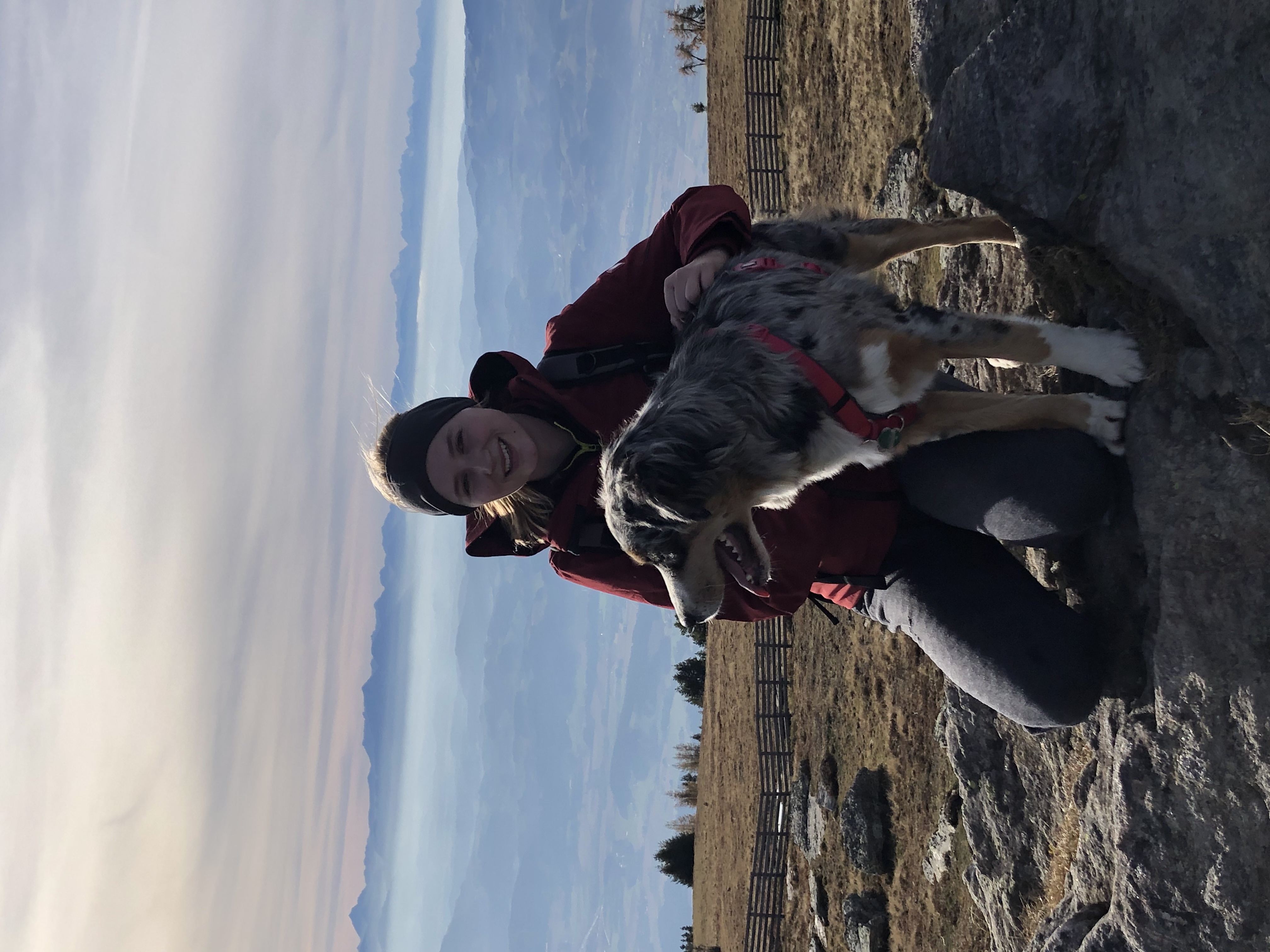image-7