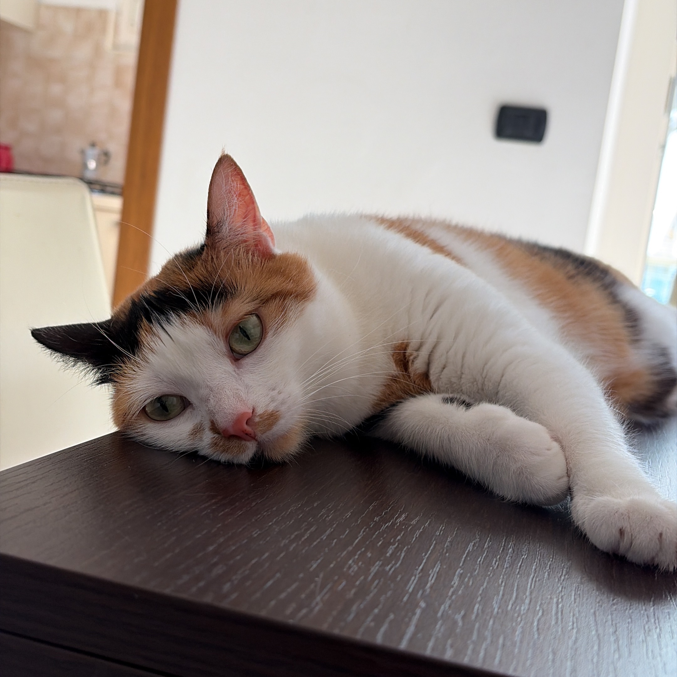 Ginger 