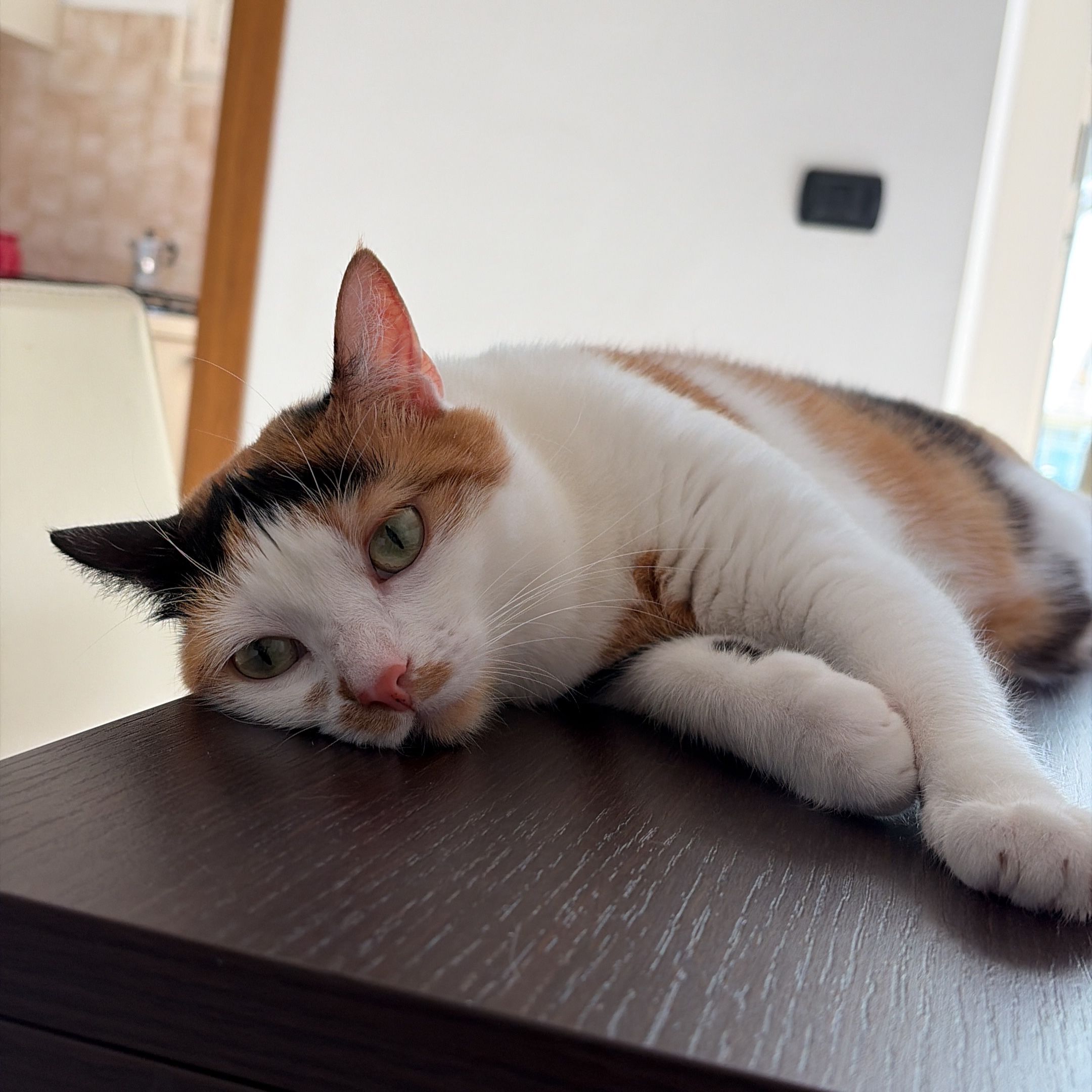 Ginger