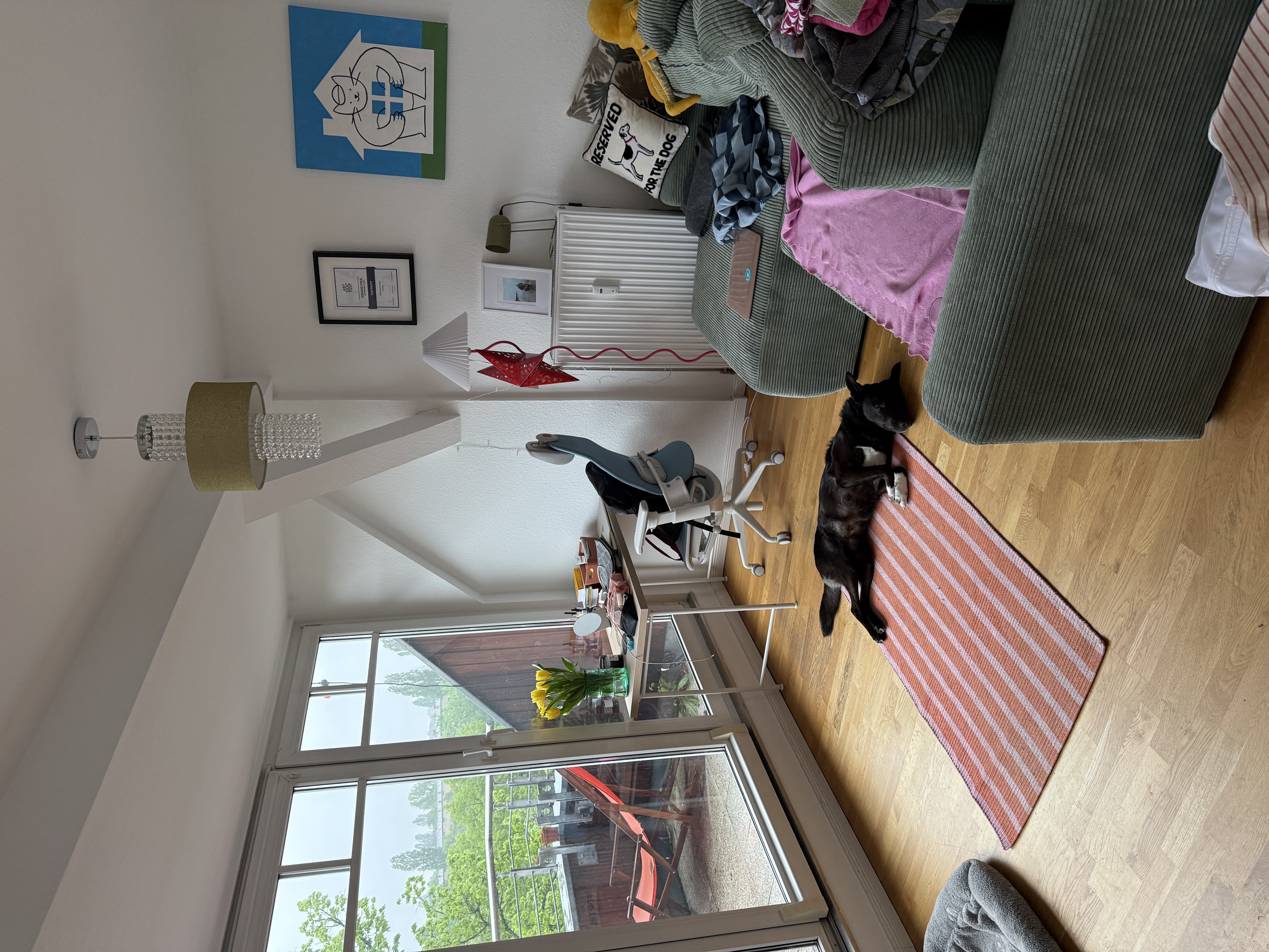 image-7
