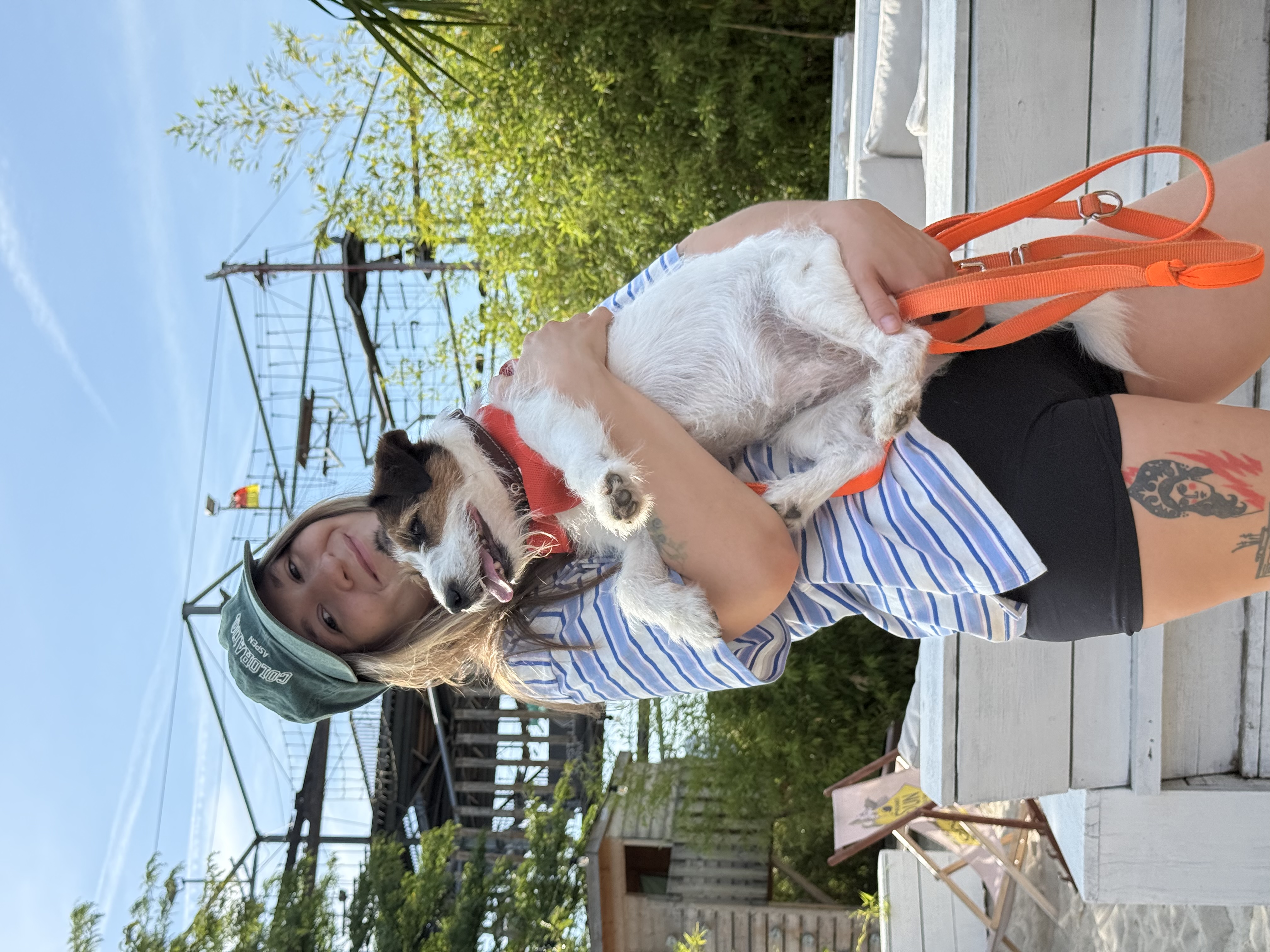 image-8
