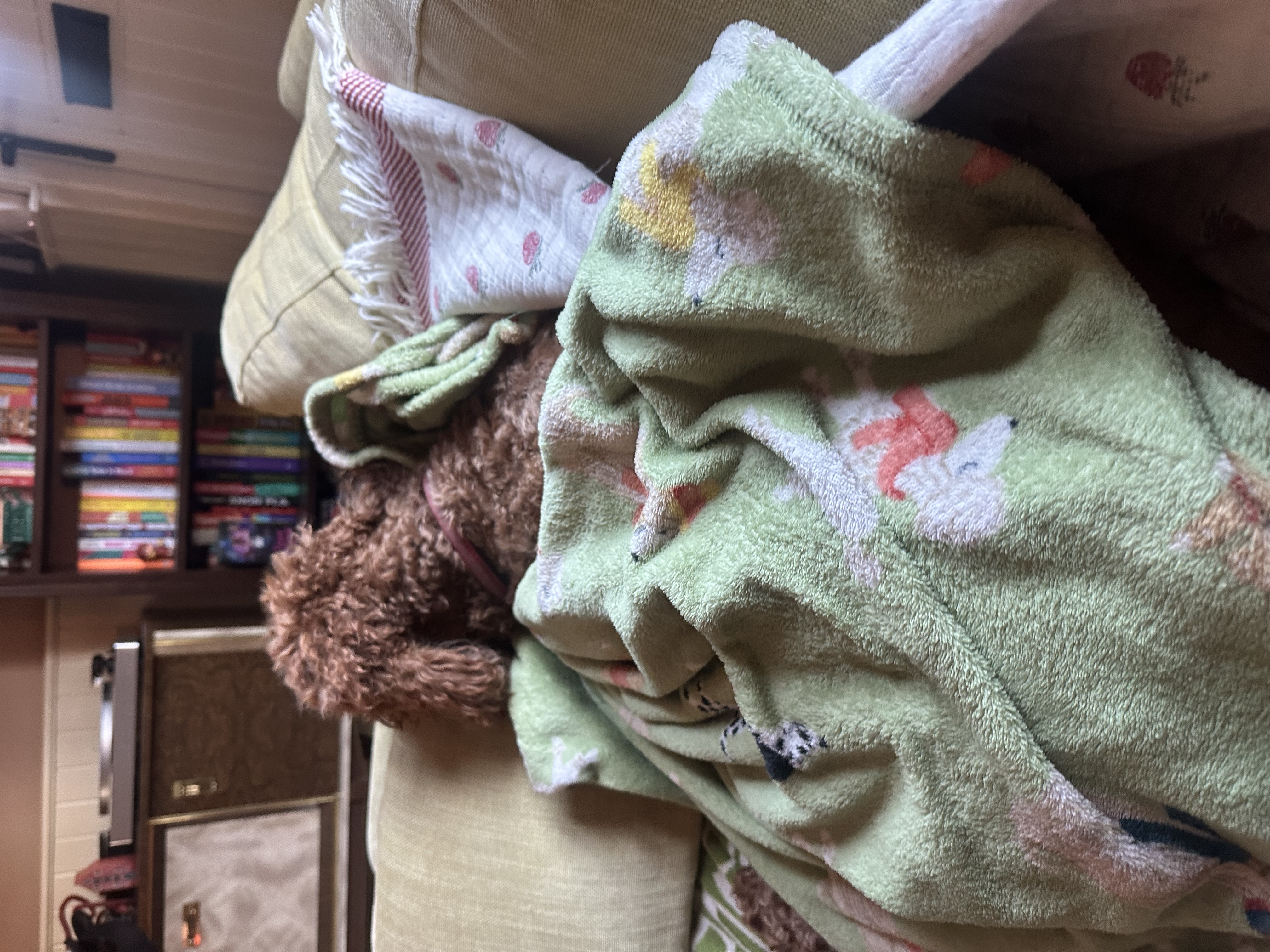 image-9