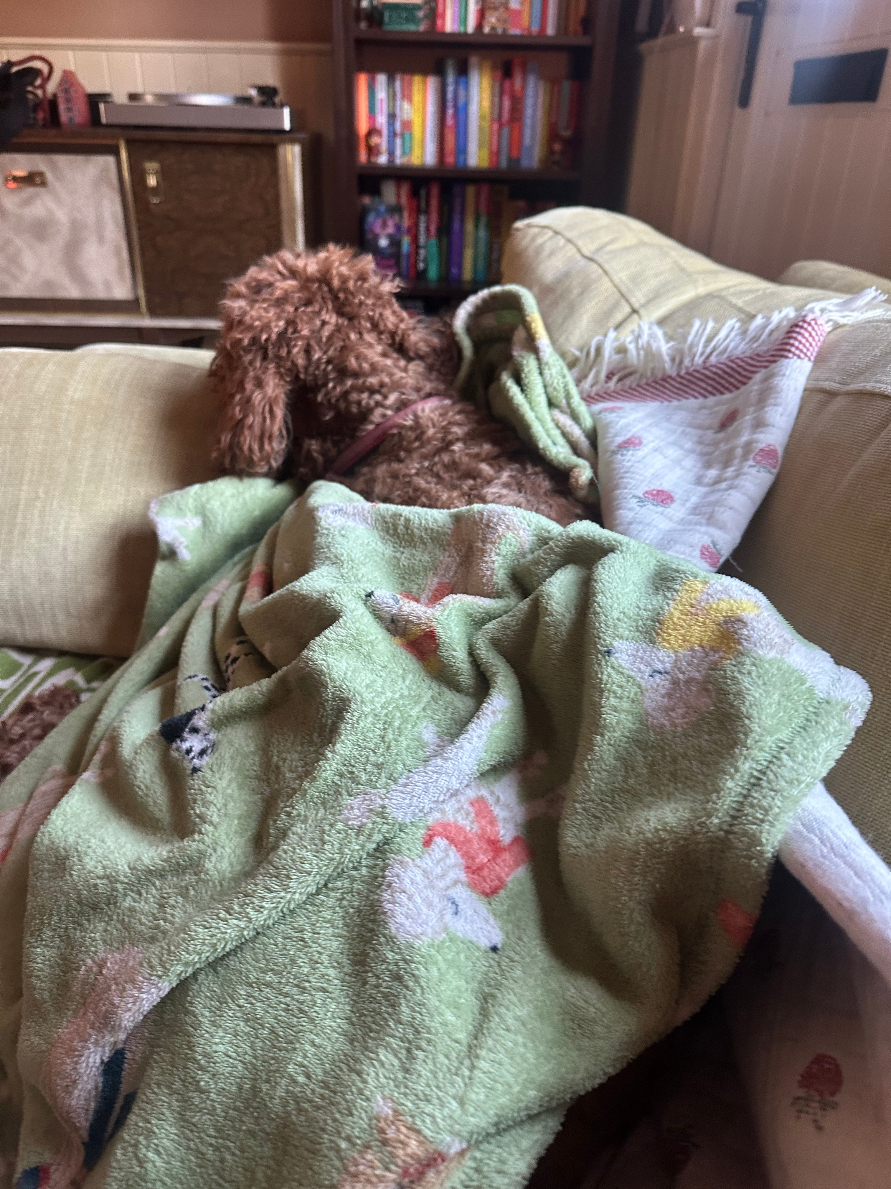 image-9
