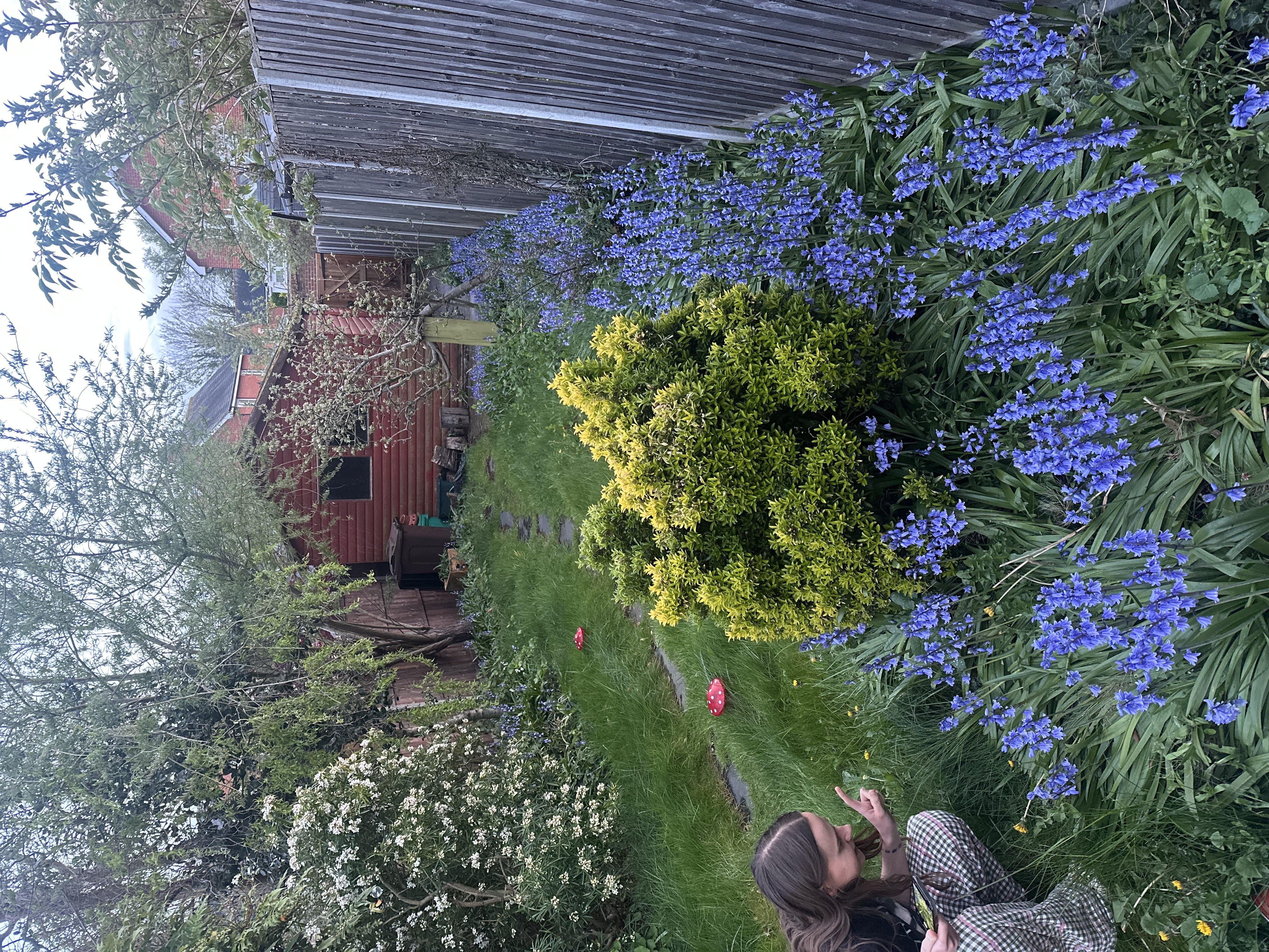 image-16