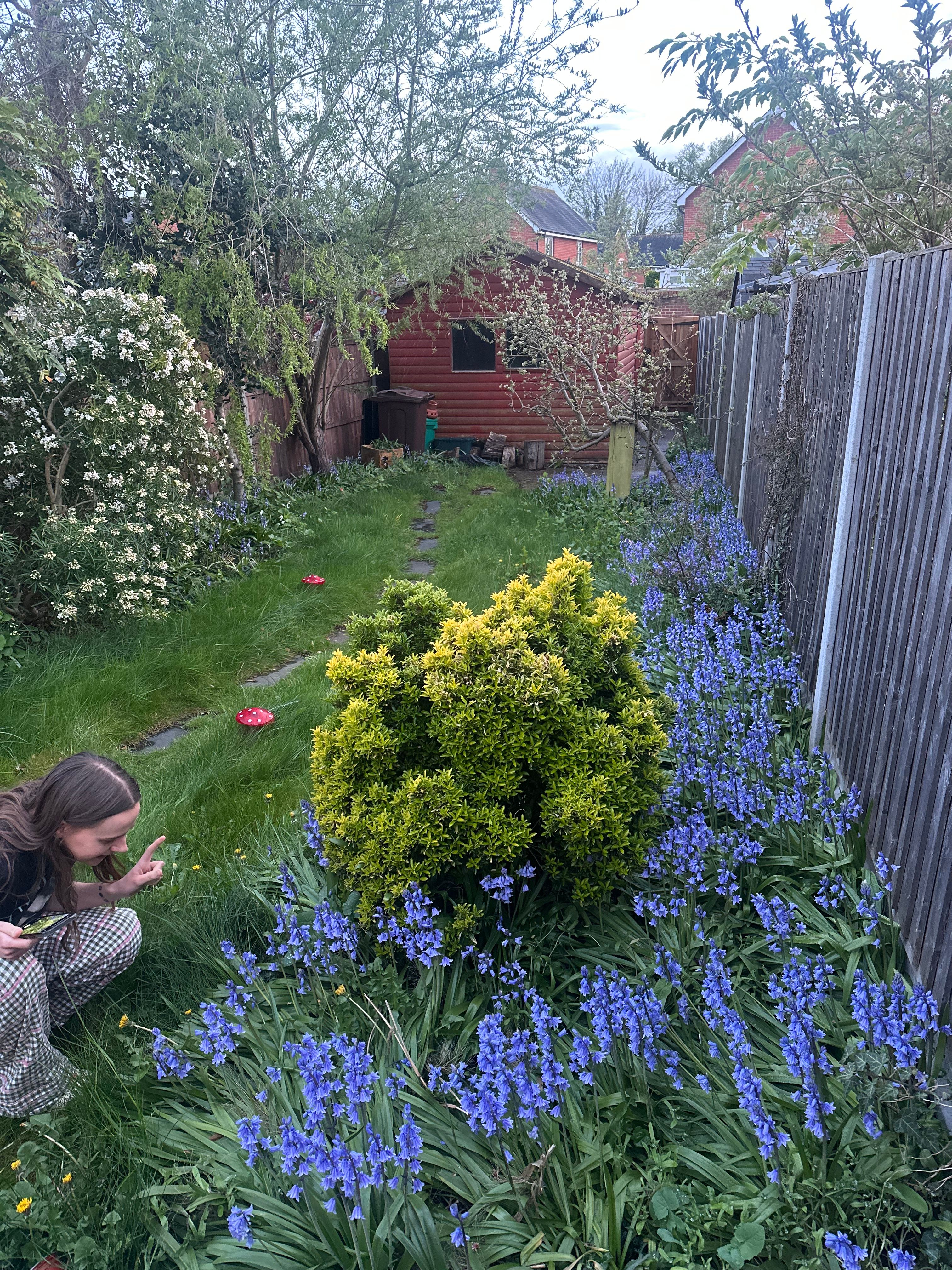 image-16