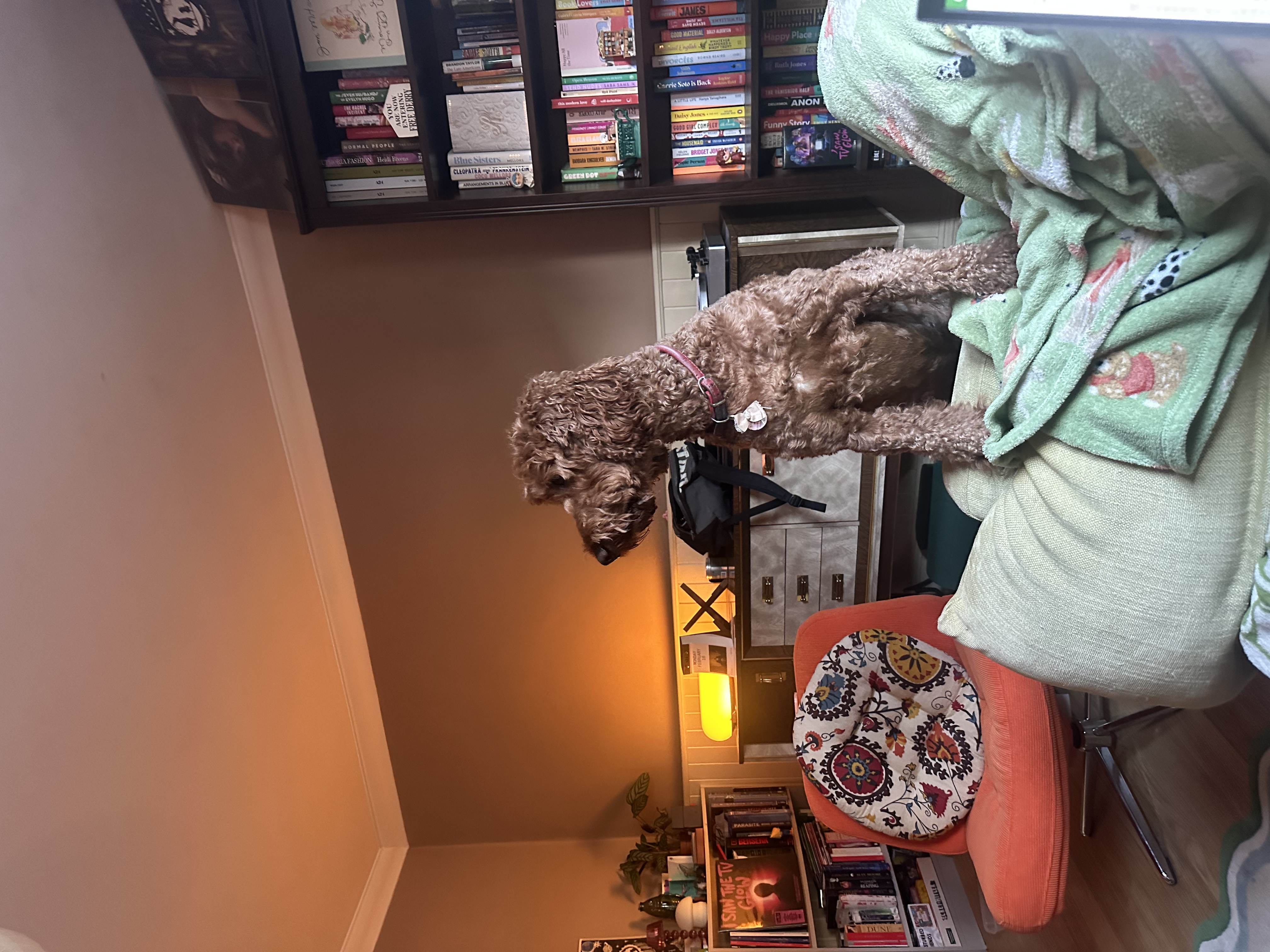 image-12