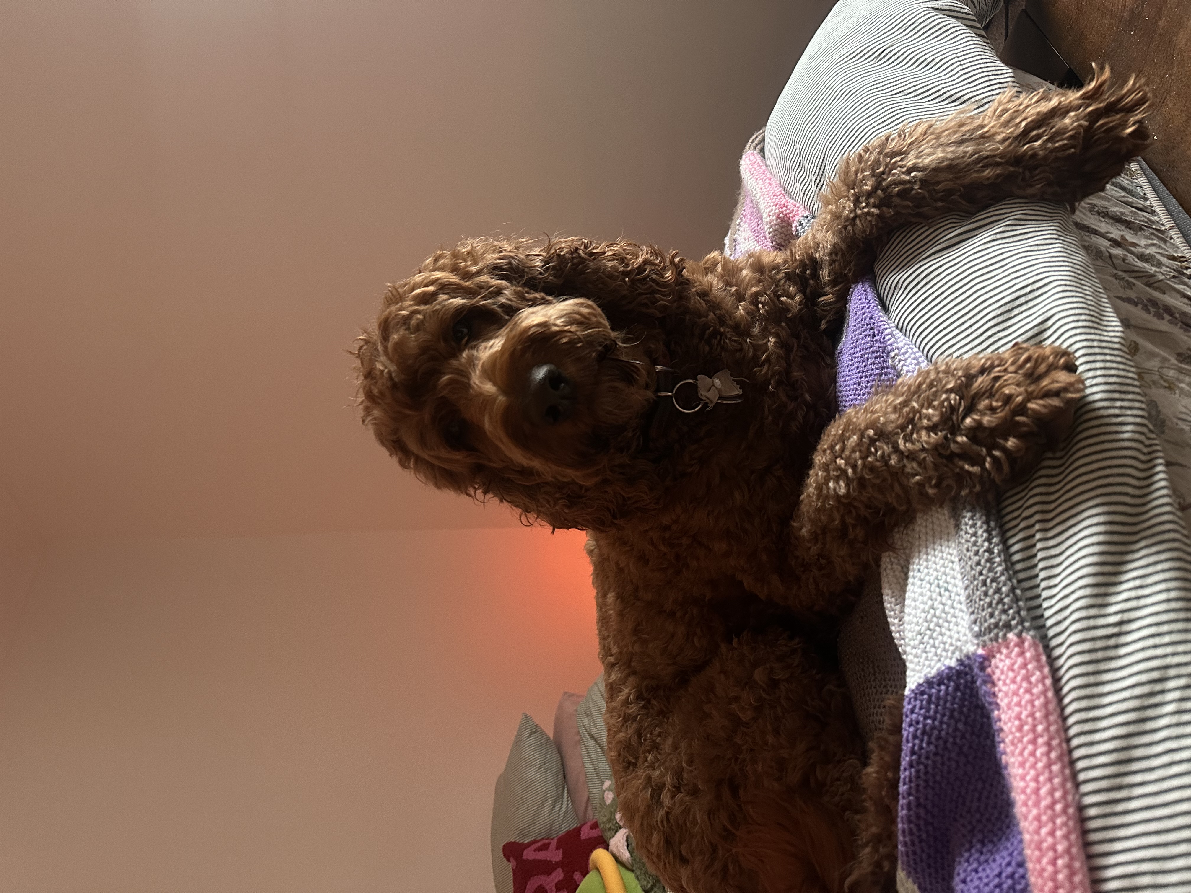 image-5