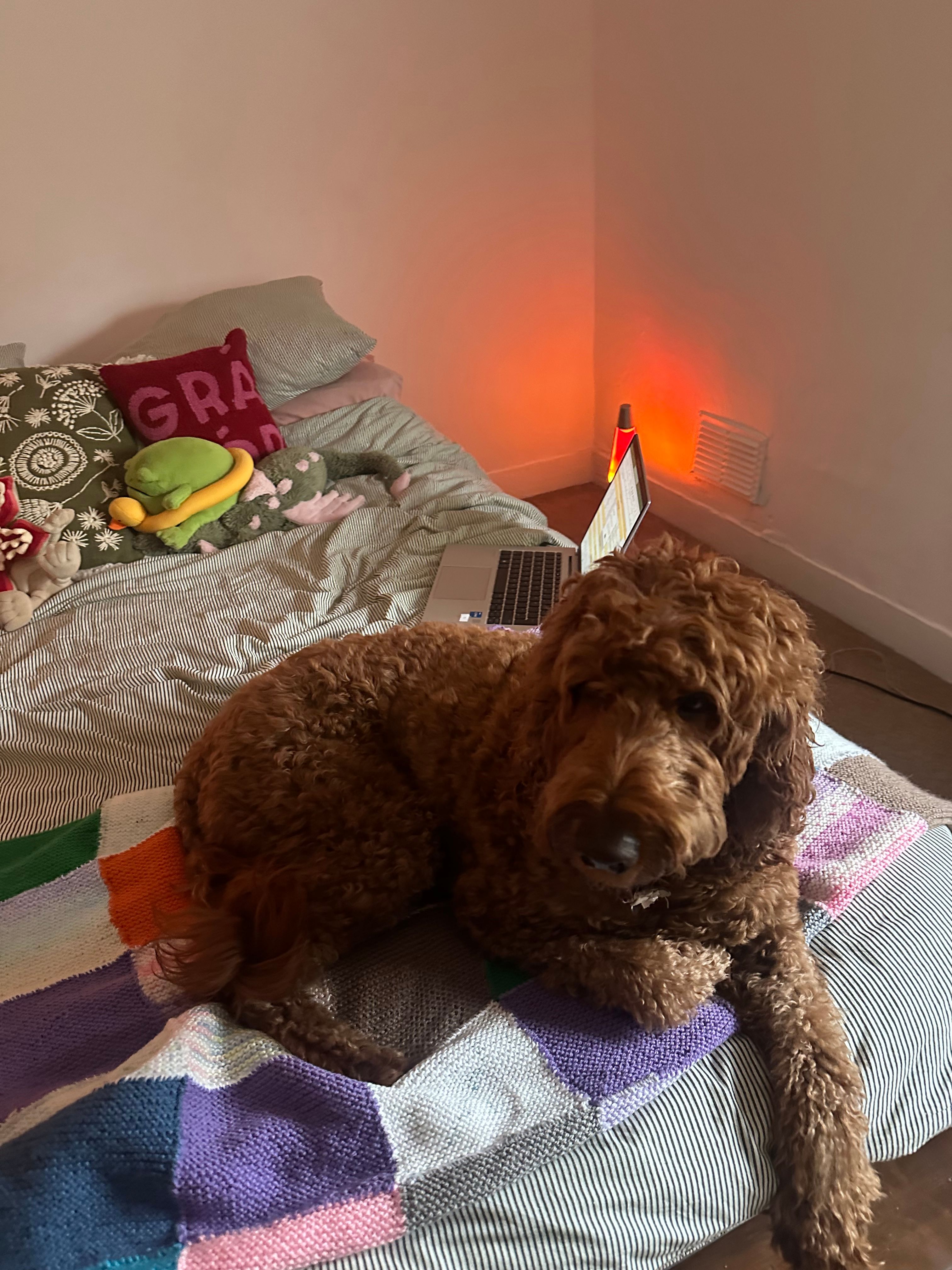 image-15