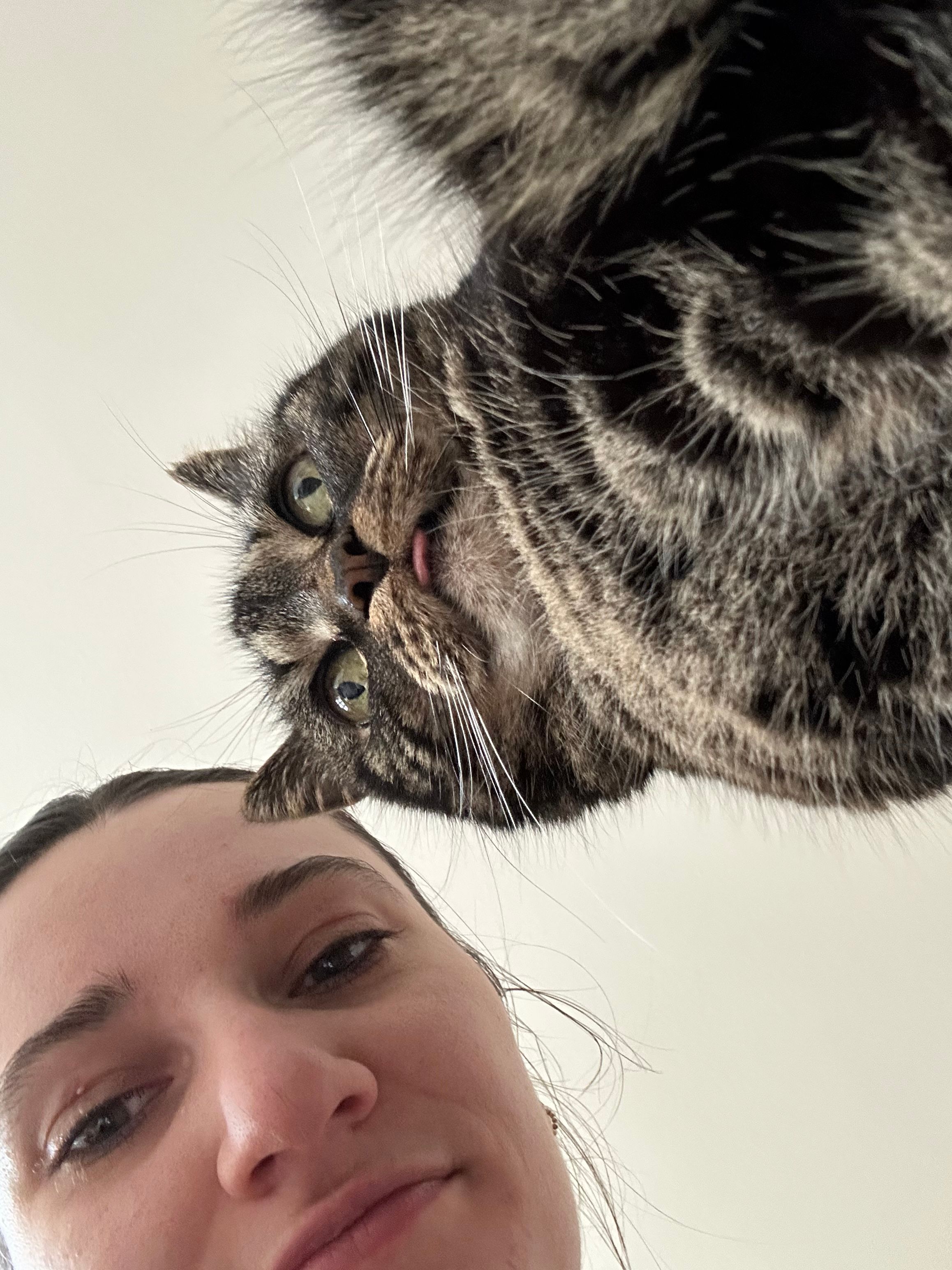image-6