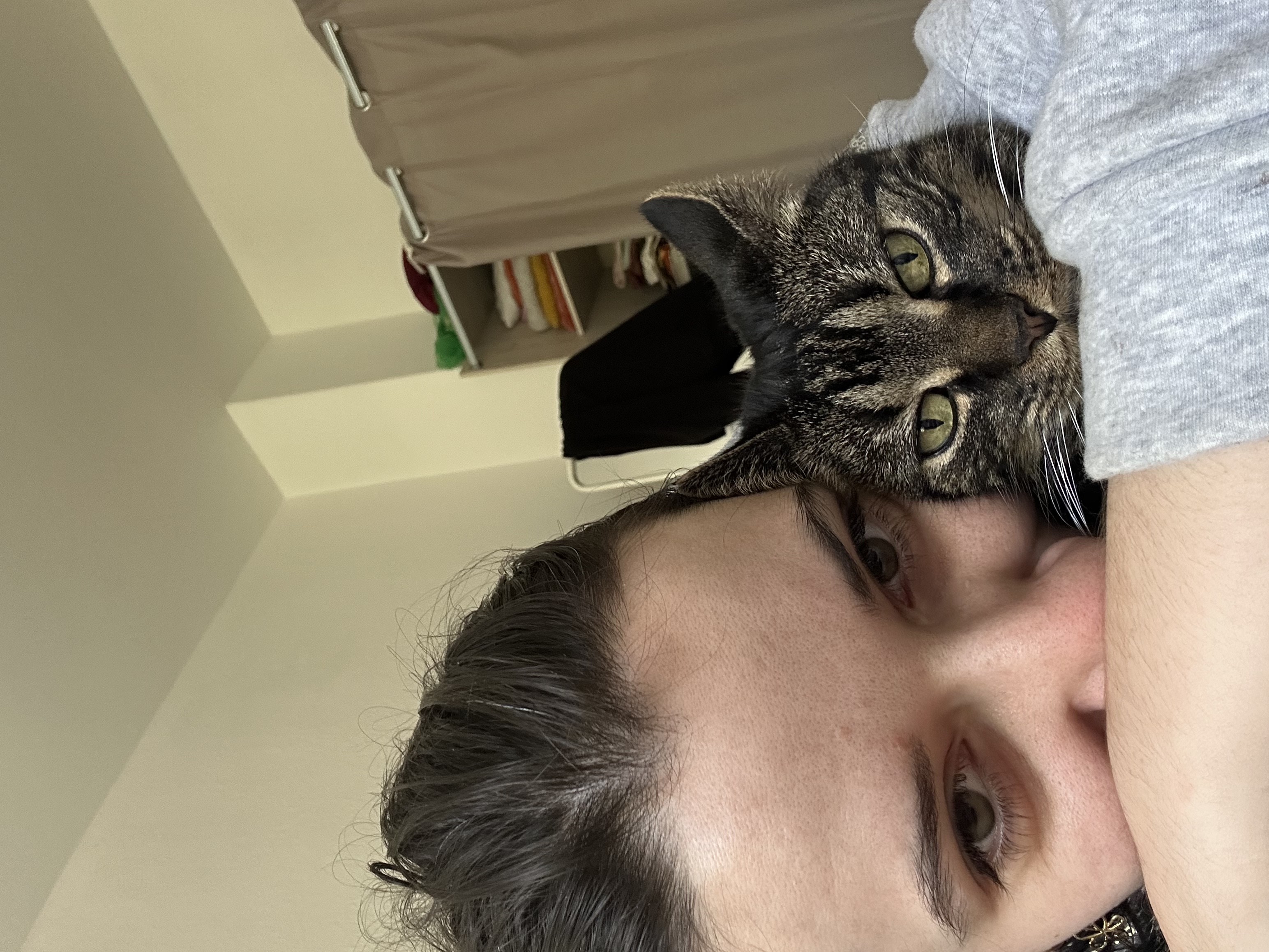 image-8