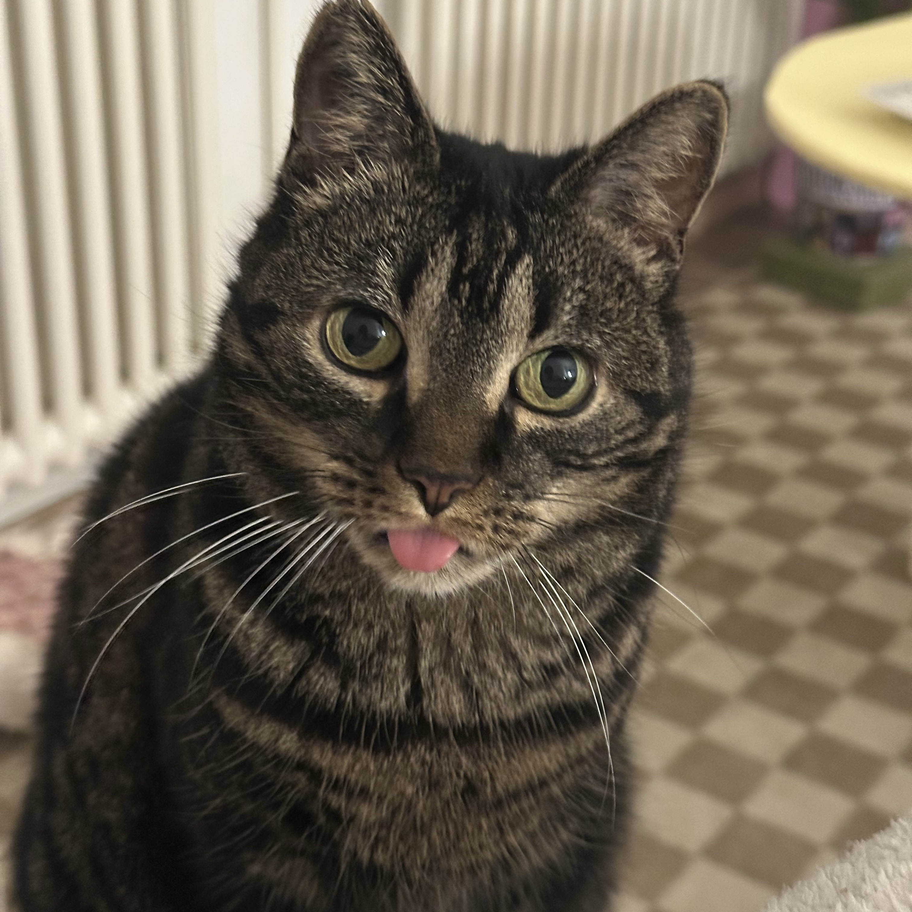 Truffe