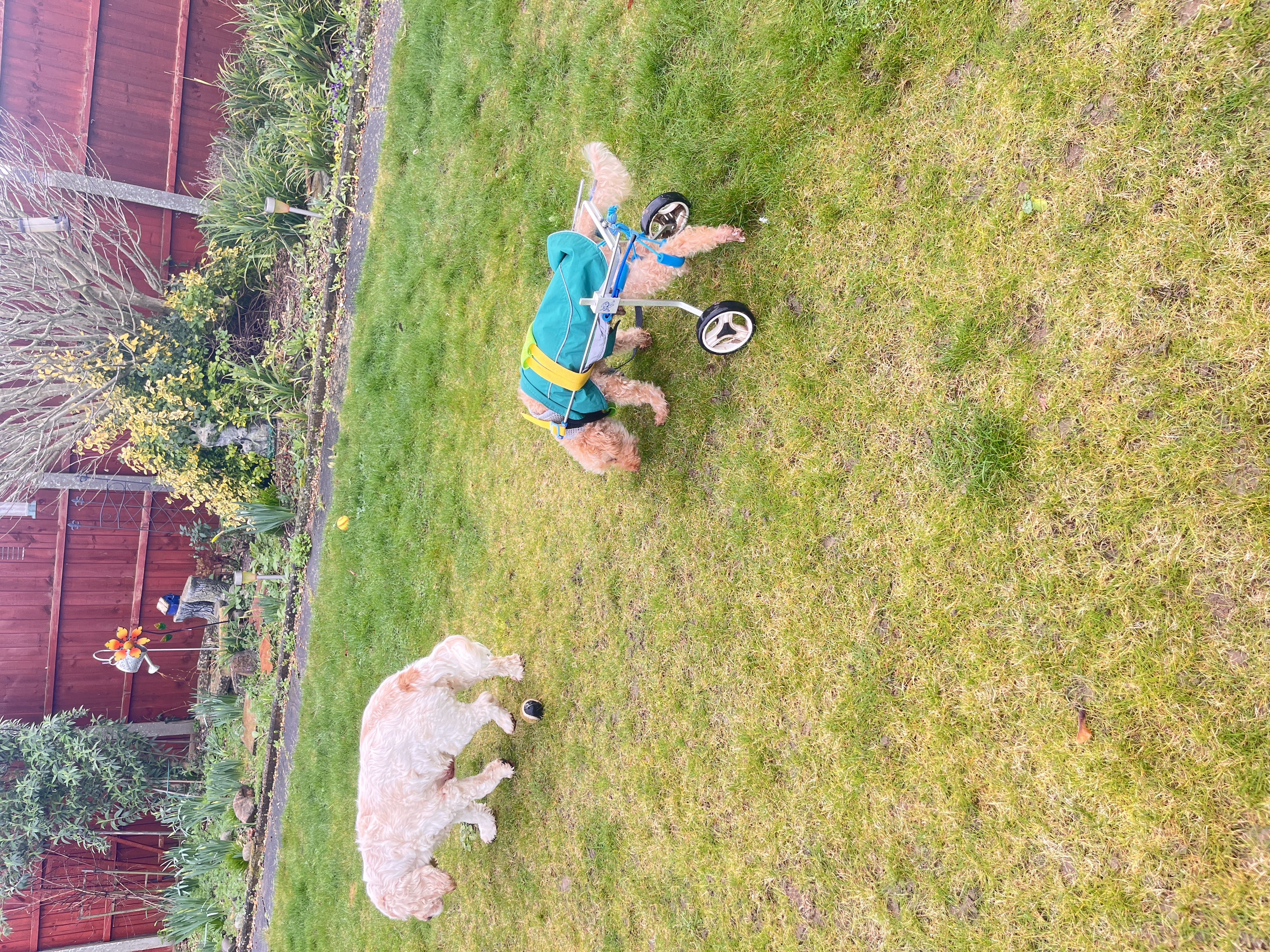 image-11
