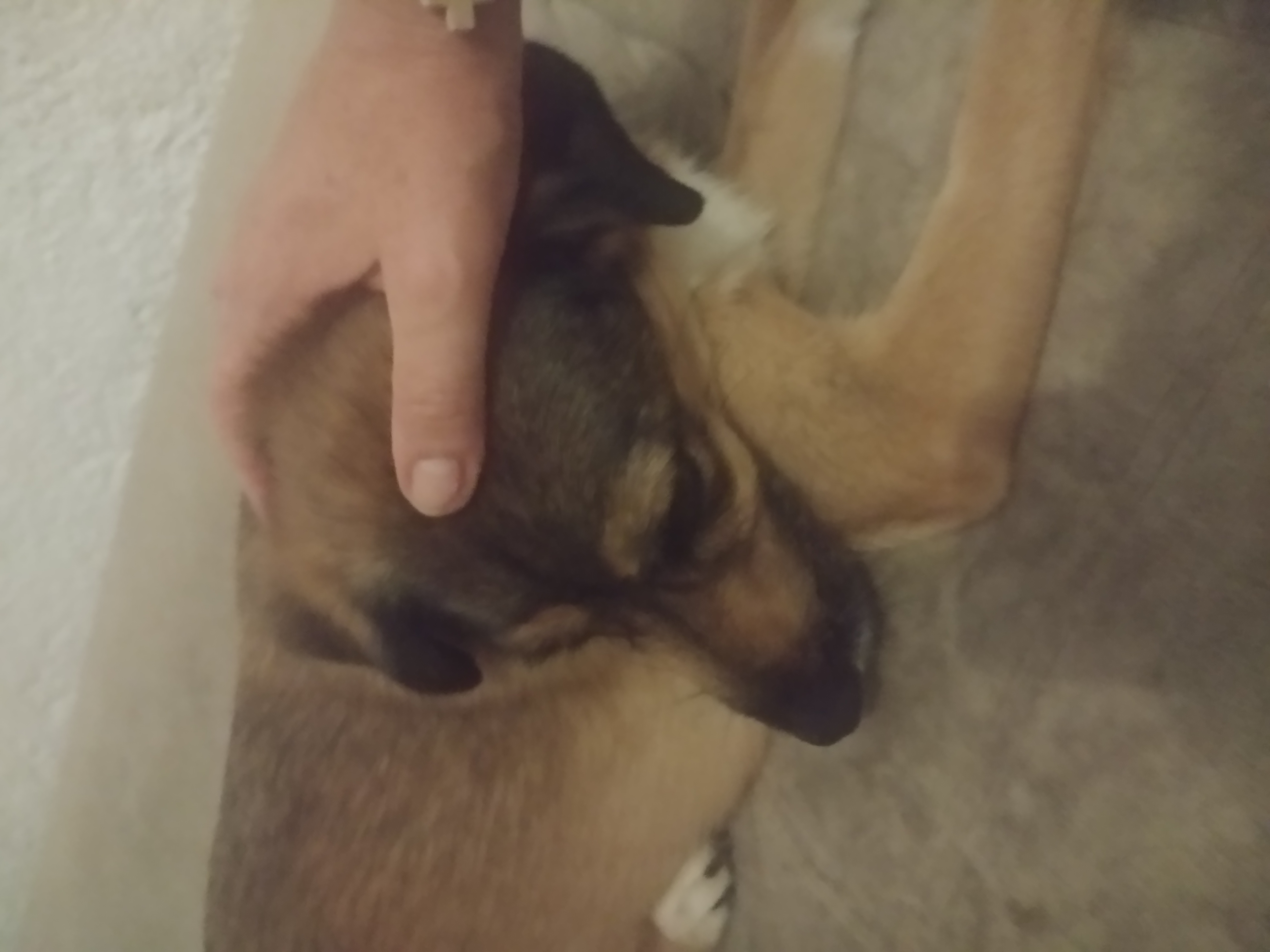 image-7