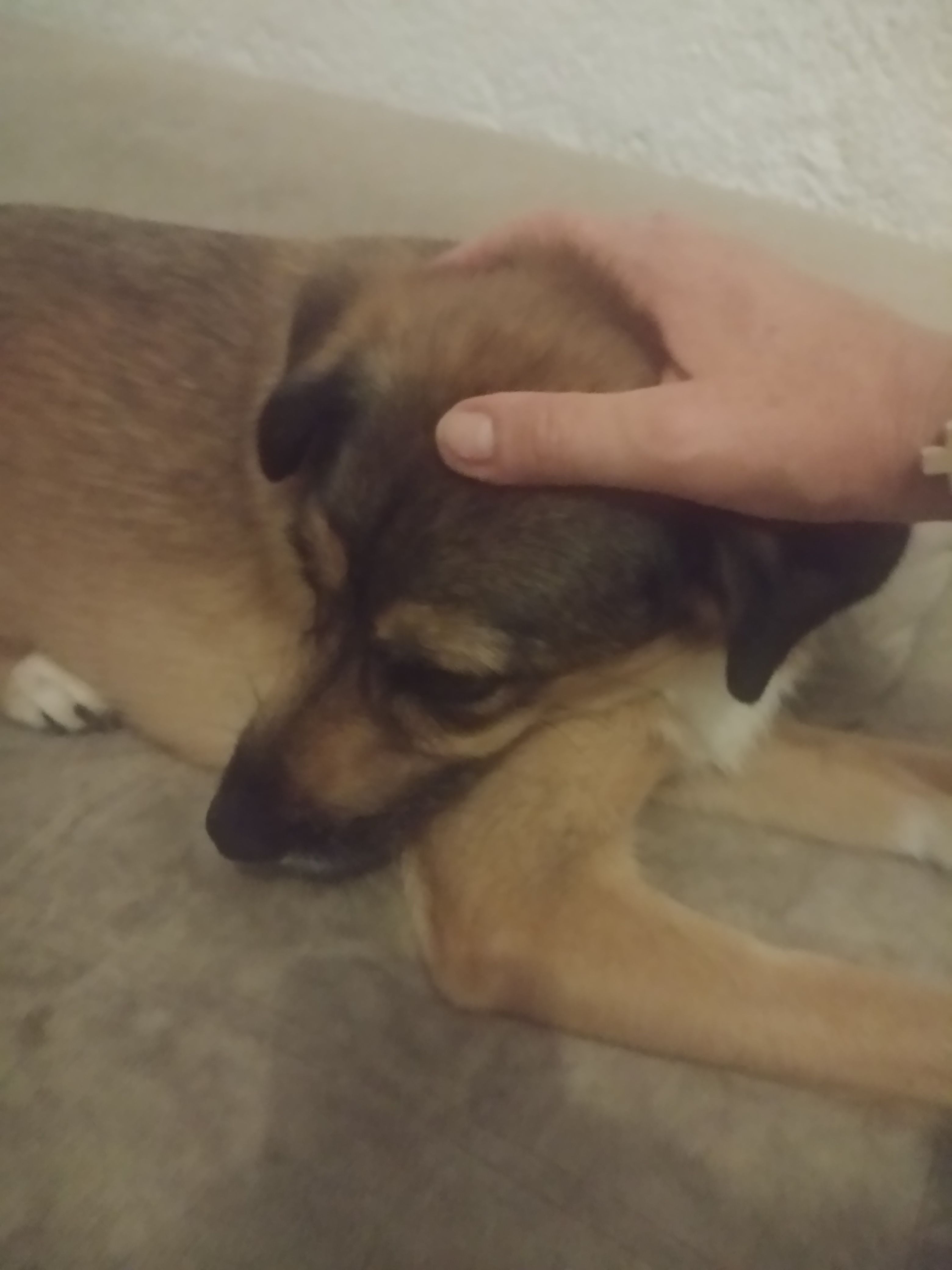image-7