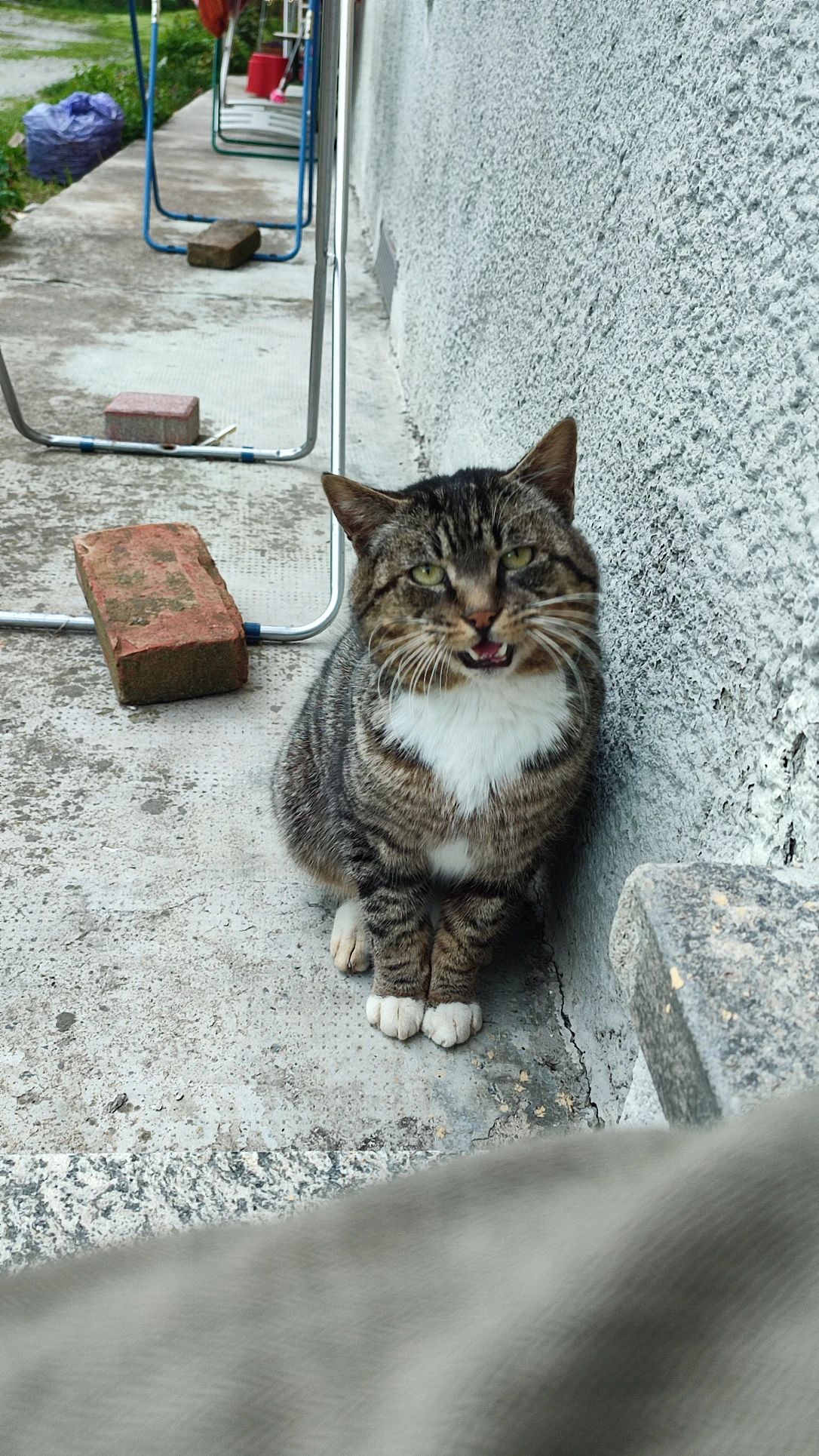image-8