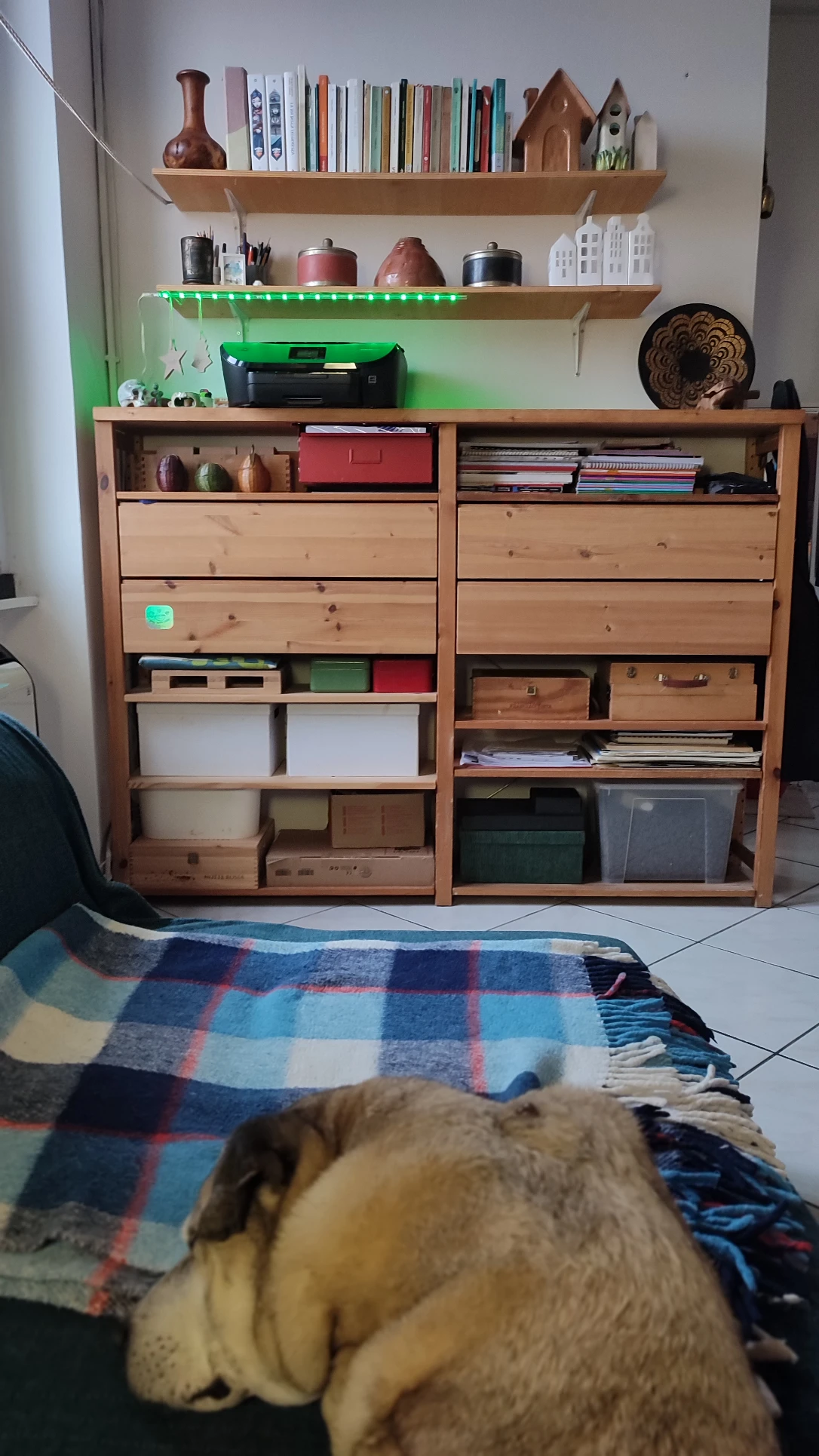 image-13