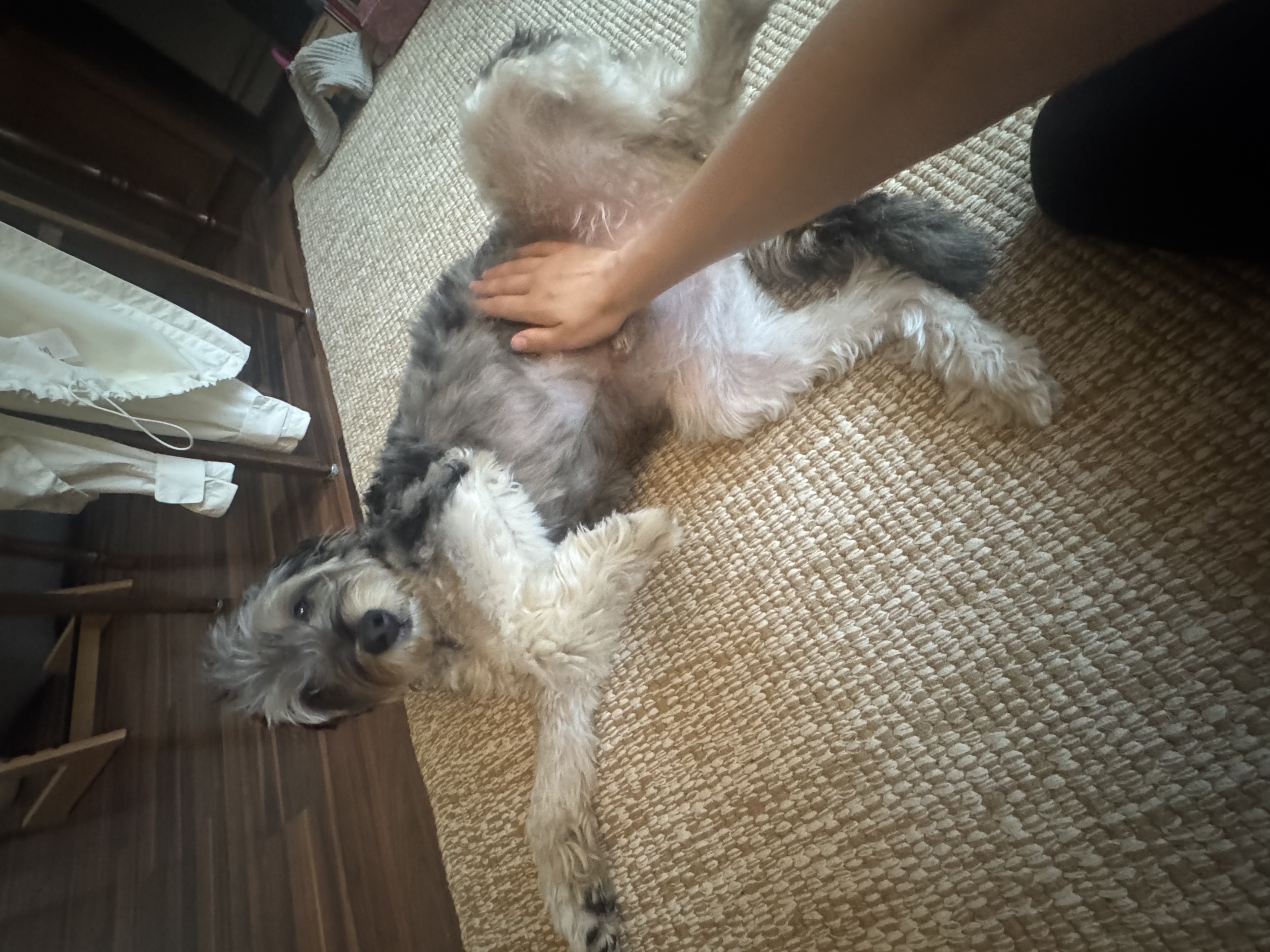 image-5