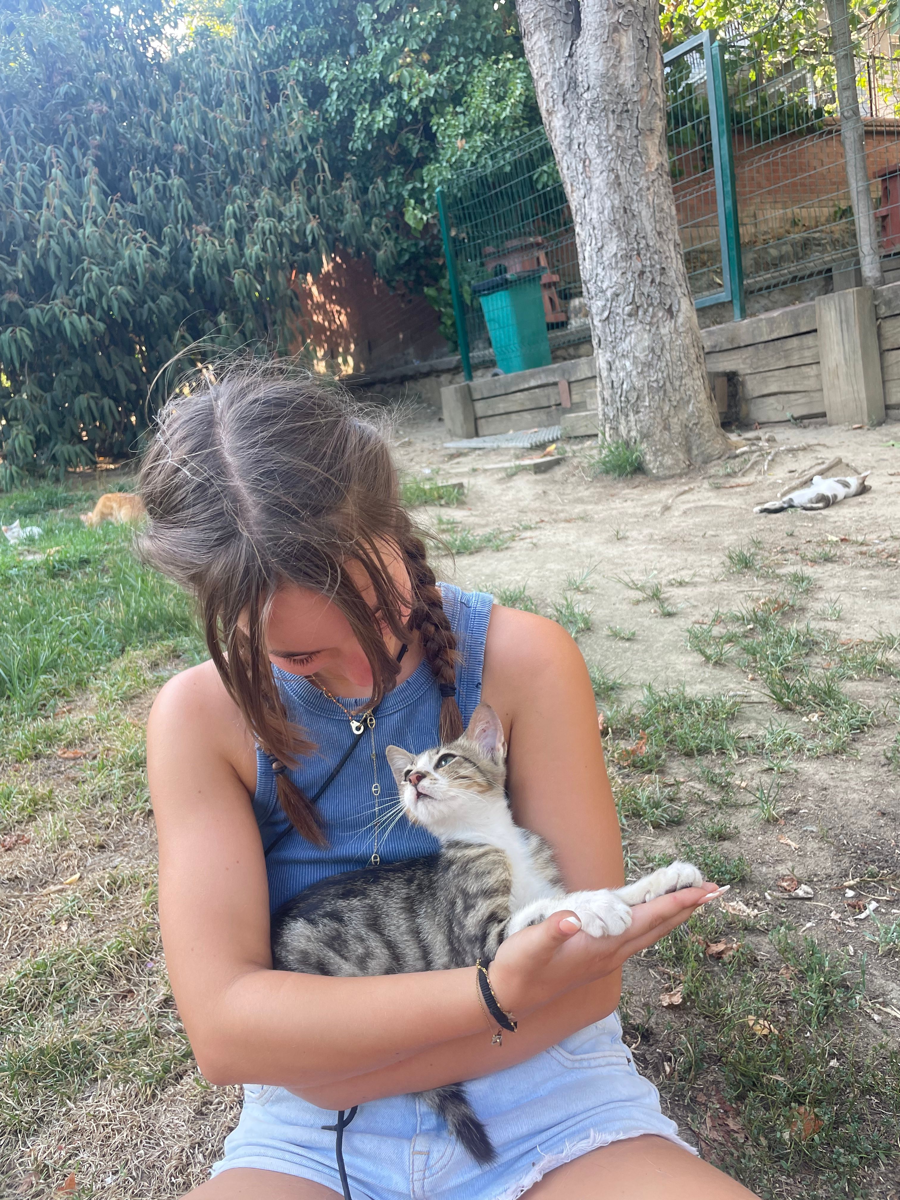 image-6